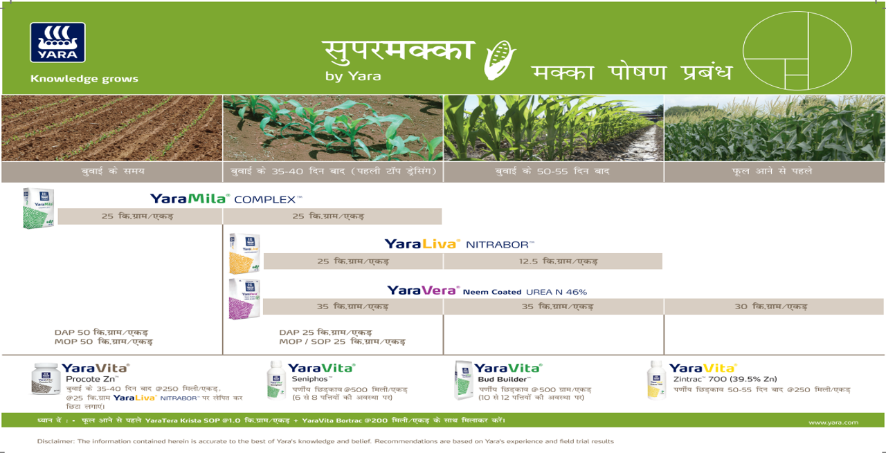 Maize Crop Nutrition Plan (East Bihar)