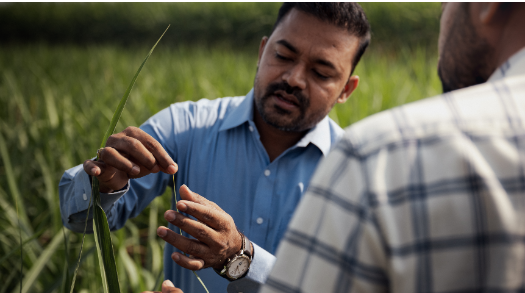 From insights to action