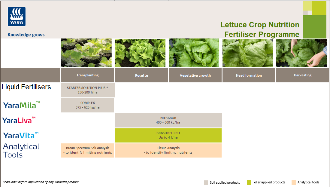 Lettuce crop nutrition programme