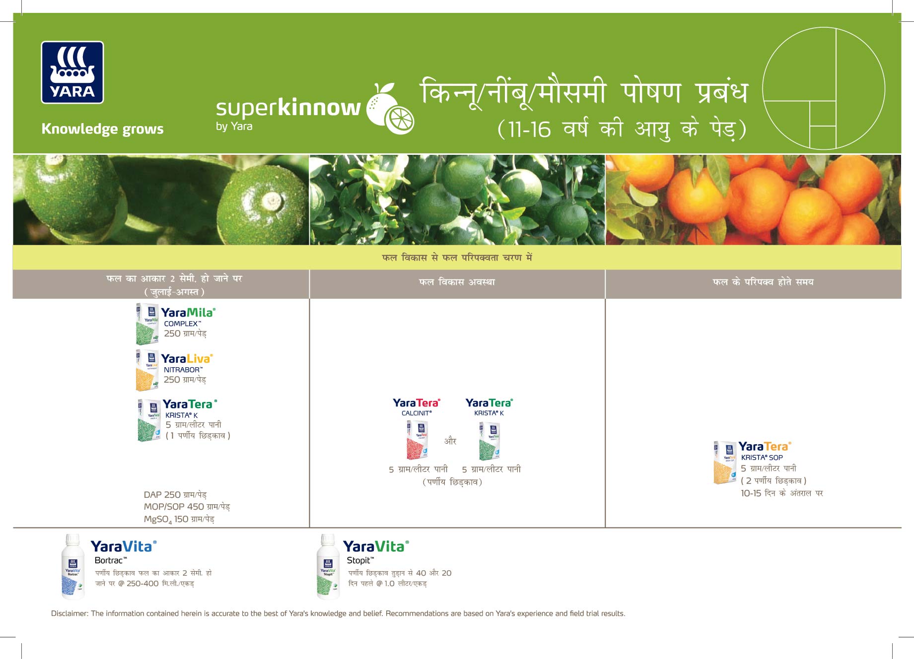 citrus crop plan (11-16 years)