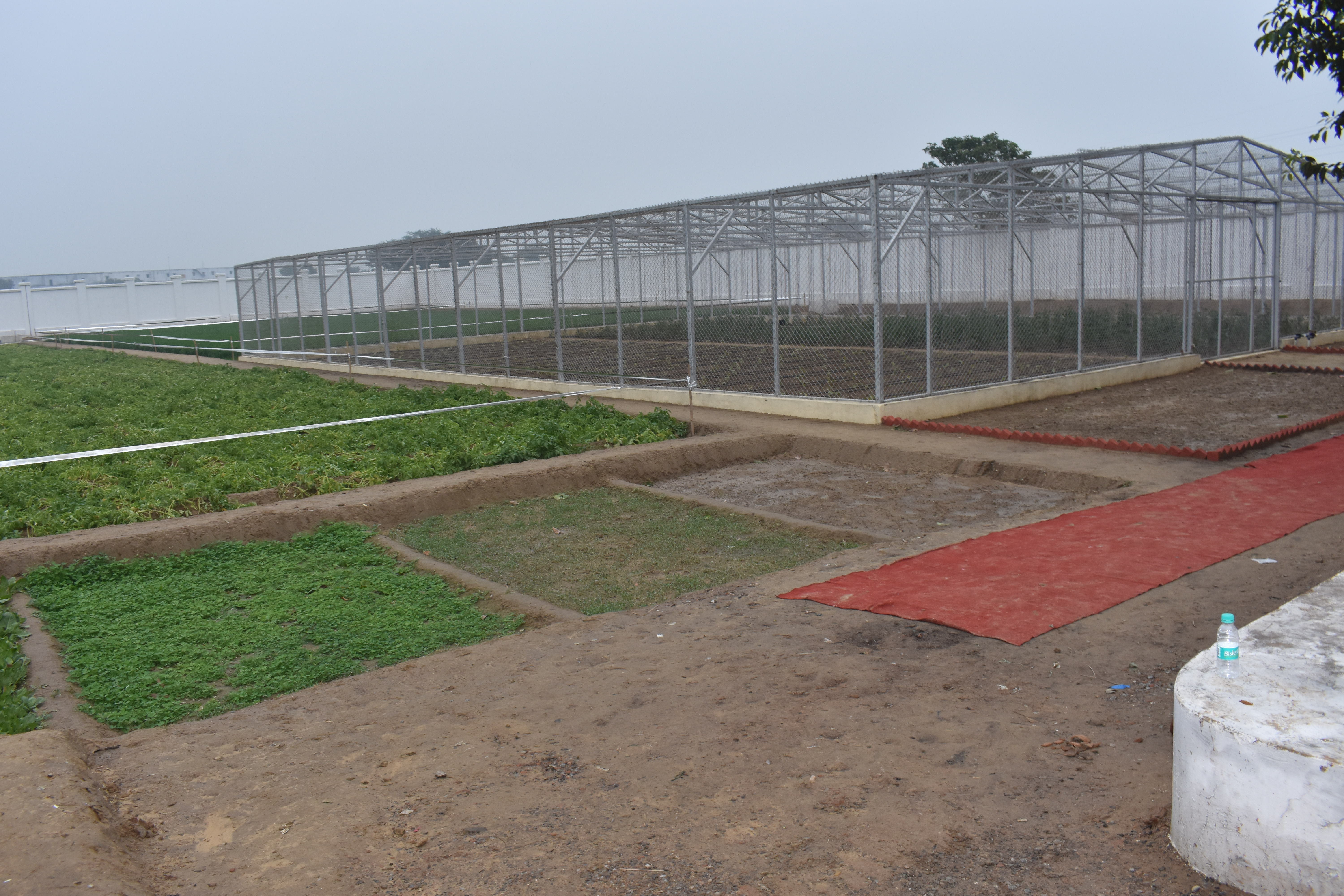 Going Beyond Crop Nutrition with YKGC