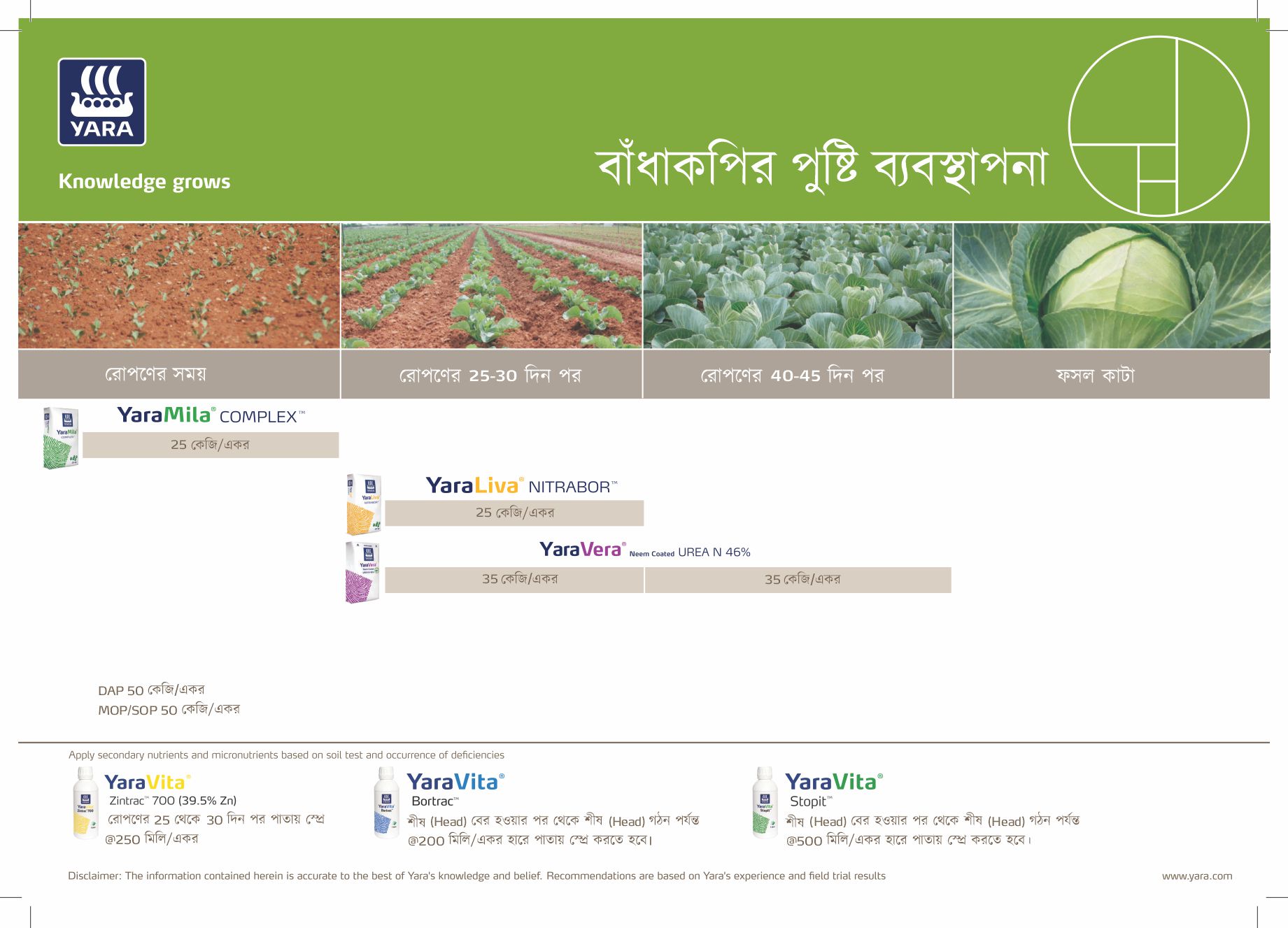 2_ Cabbage Crop Plan - Bengali 07.02.2026
