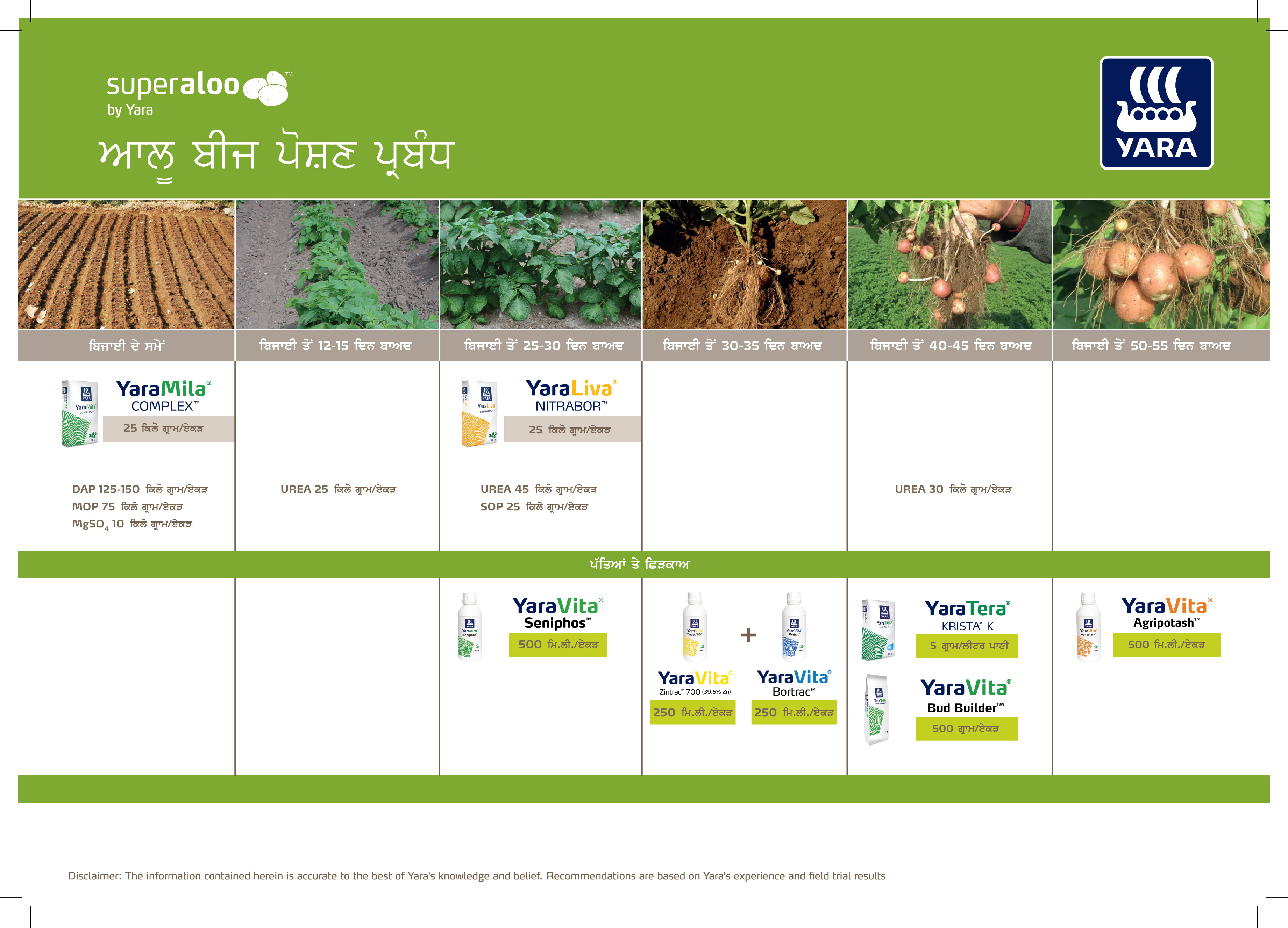 Potato Crop Plan - Punjabi_13-08-2026-0222