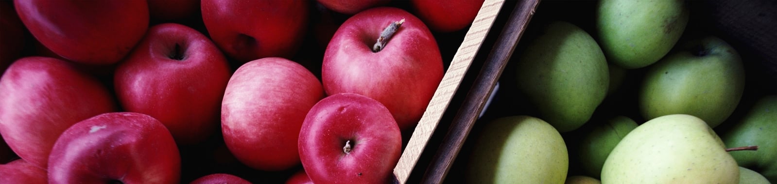 Apple fruit 