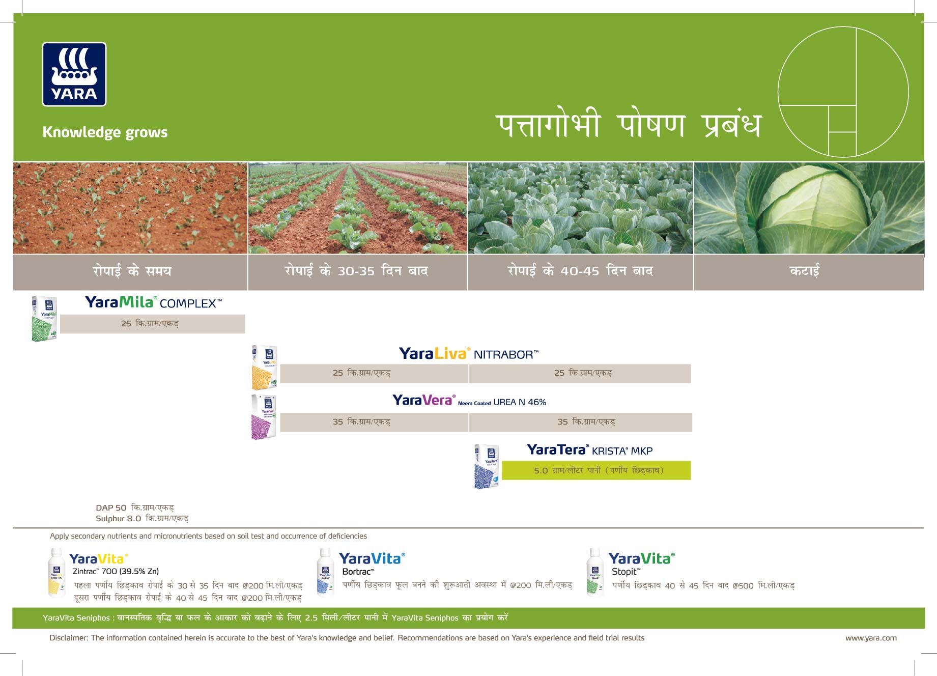 Cabbage Crop Plan - Hindi_15-01-2026_Haryana-02.jpg
