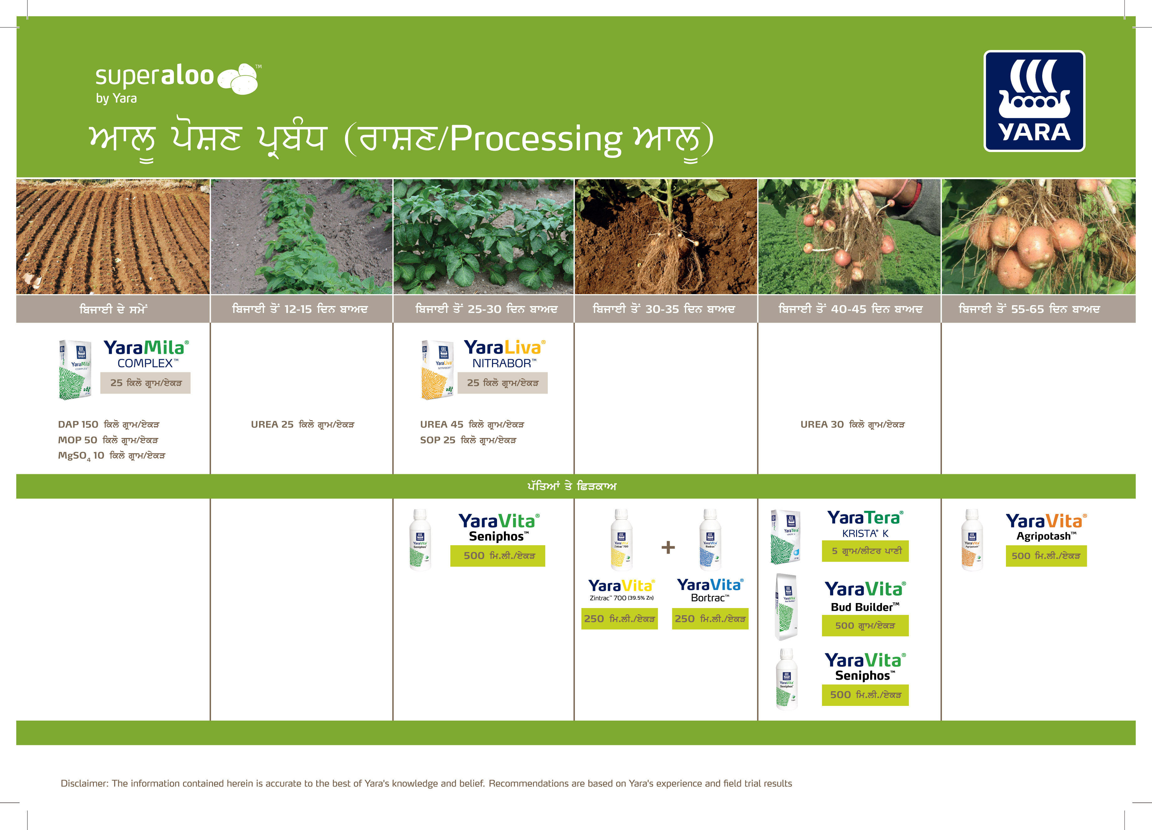 Potato Crop Plan - Punjabi_13-08-2026-0111