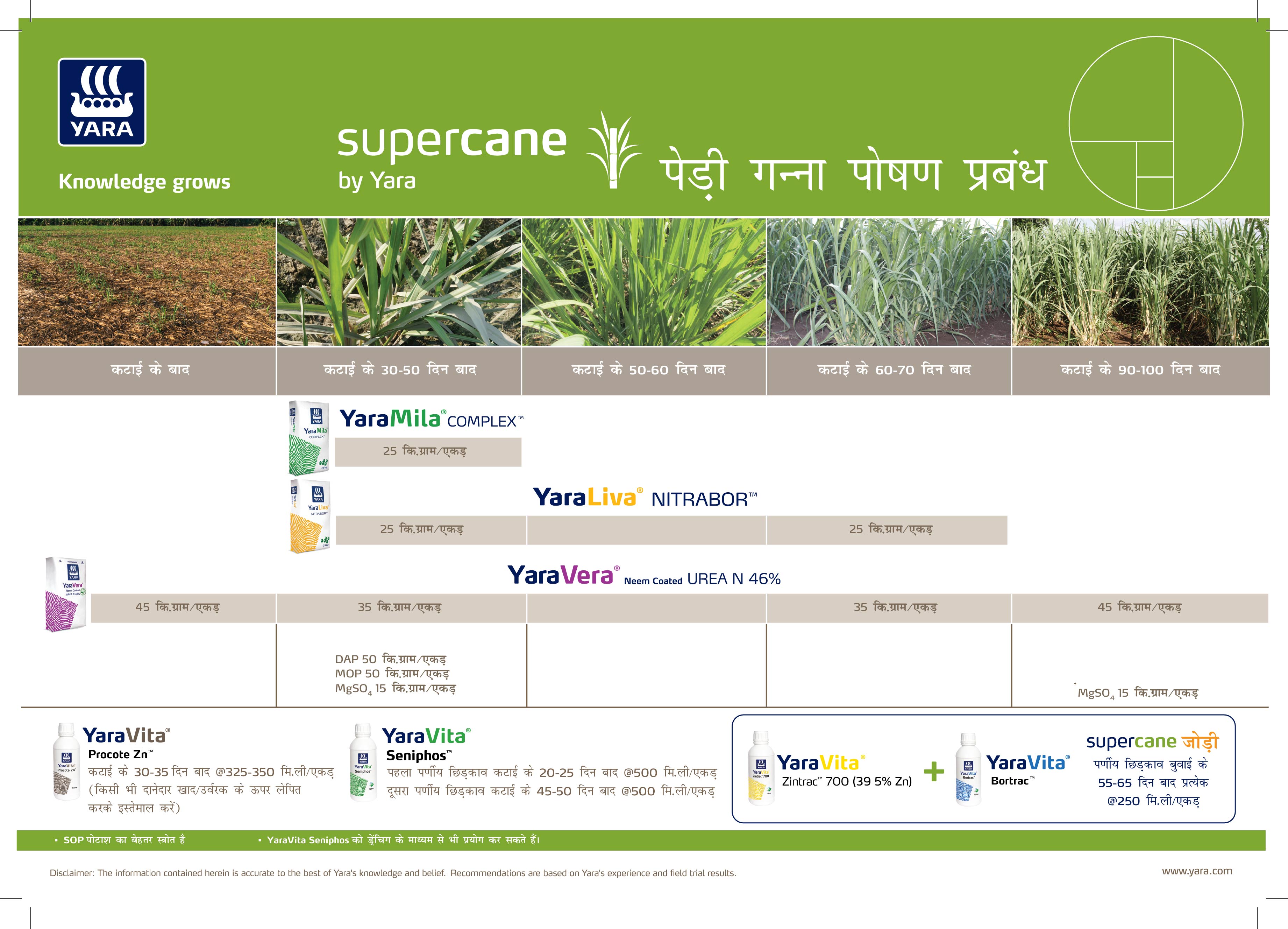 Sugarcane Crop Nutrition Plan (Haryana)