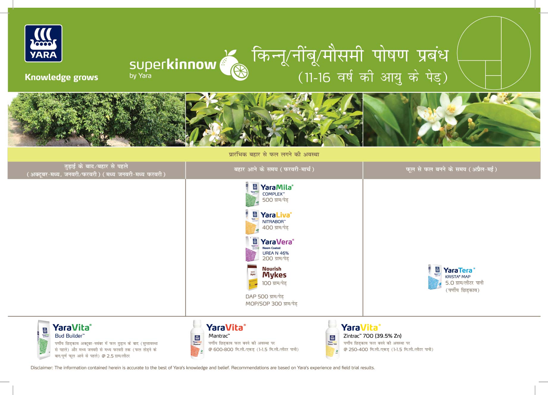citrus crop plan (11-16 years)