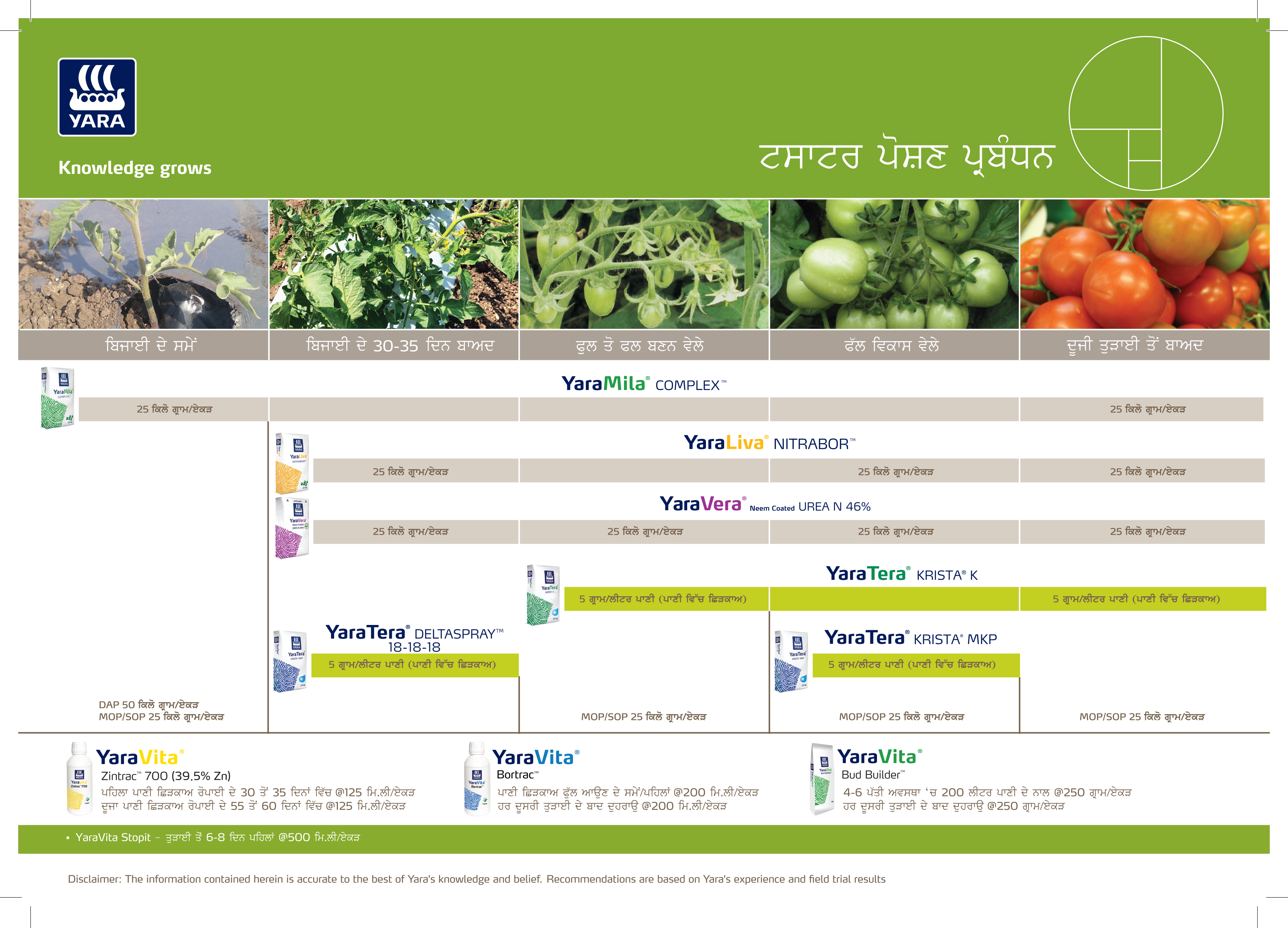 Tomato Crop Plan_Punjabi_30-01-2025-02.jpg