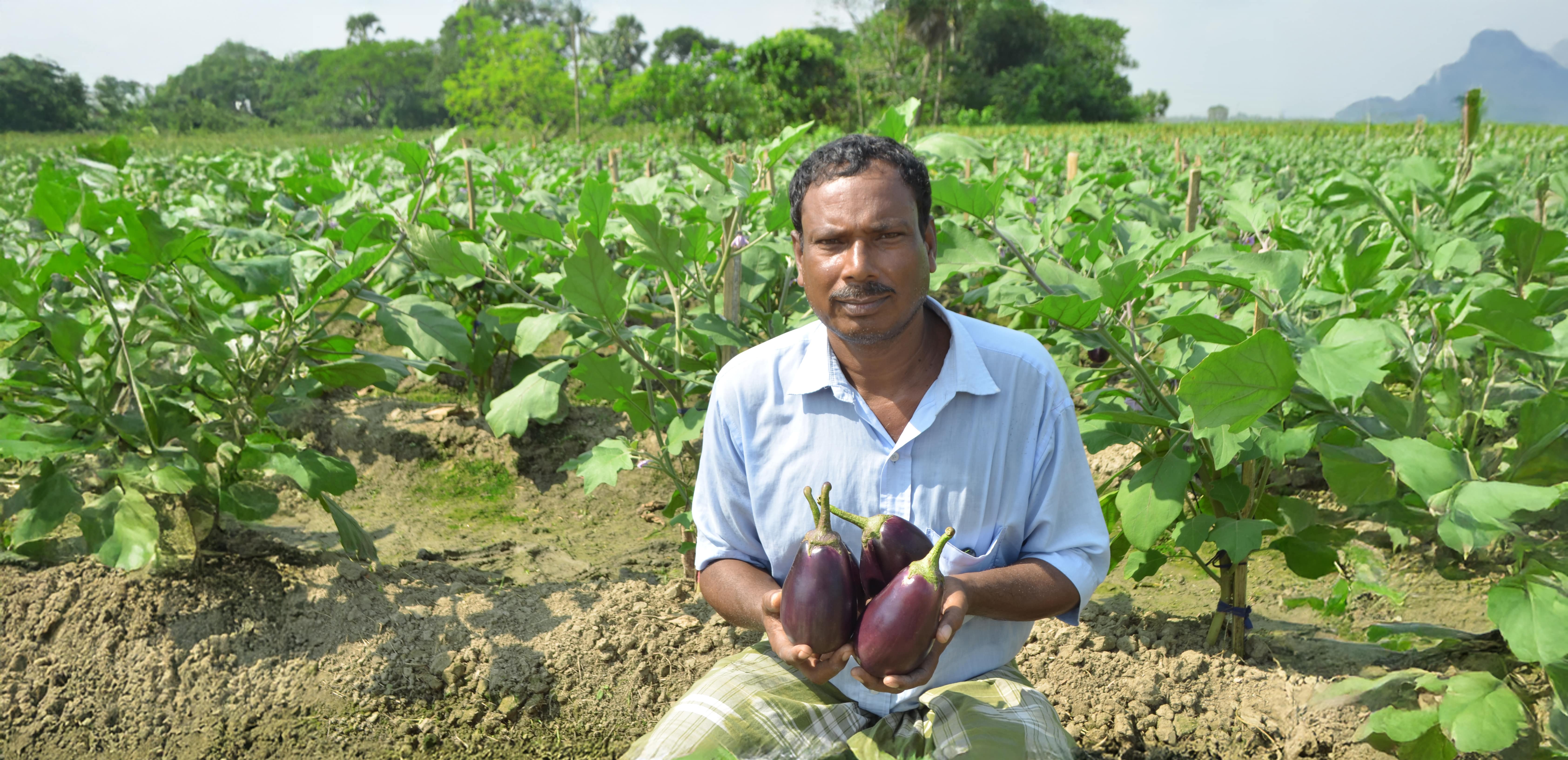  Sukumar Pal | YARA.in