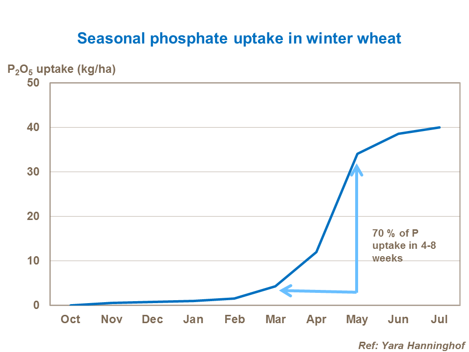 Seasonal uptake of phosphate