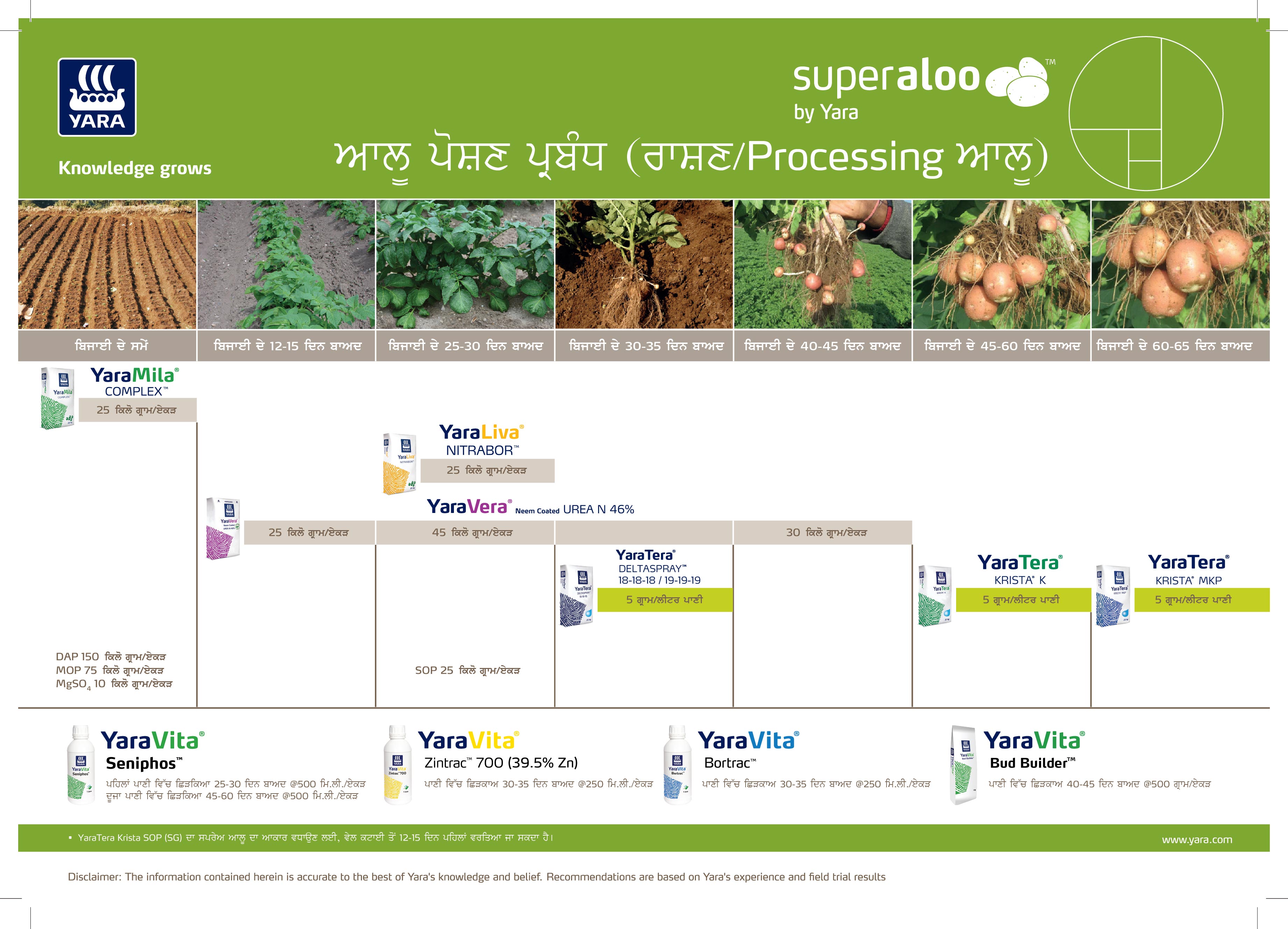 Potato Crop Nutrition Plan - Processing - punjab