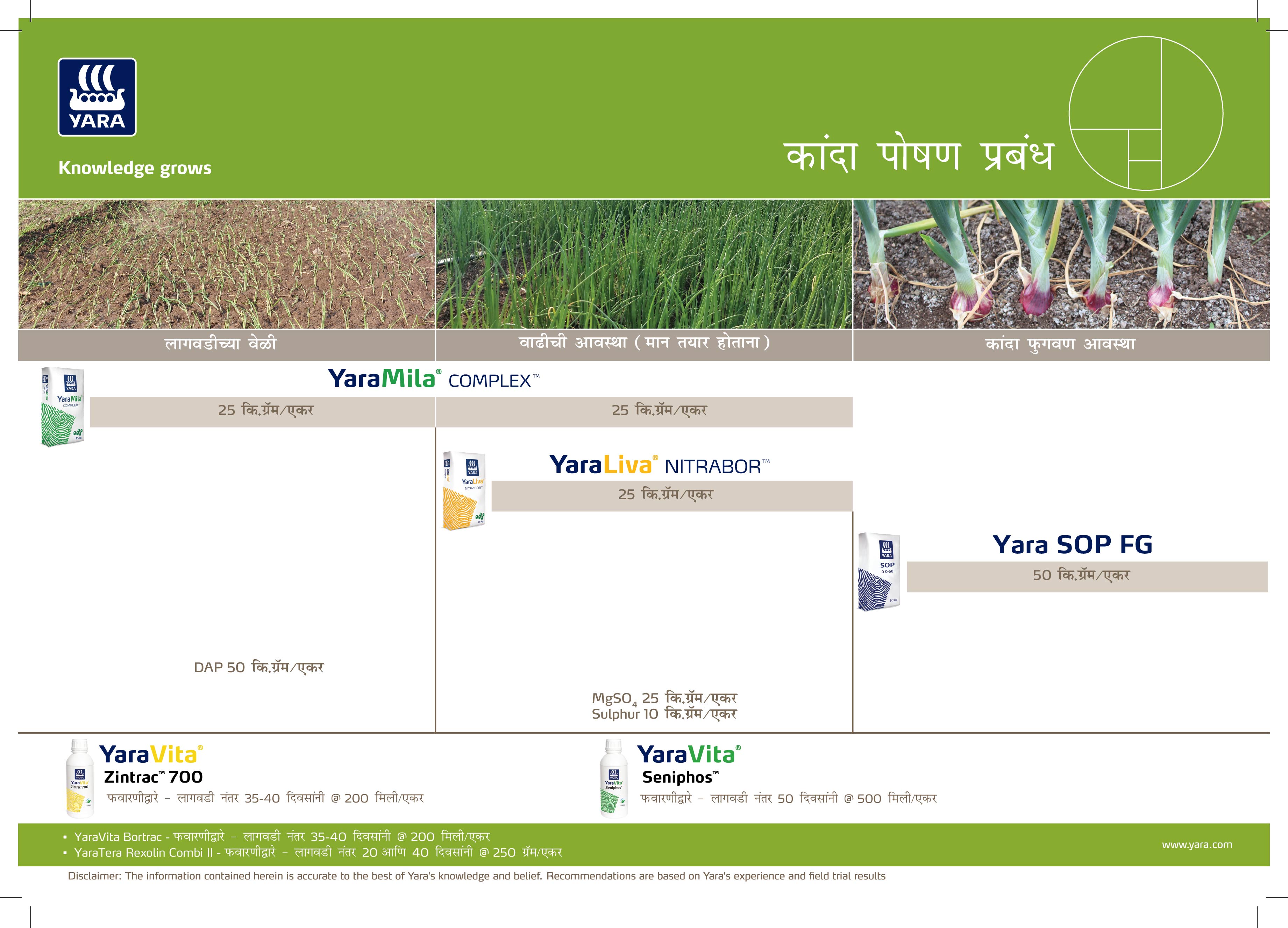 Onion YaraRega Crop Plan - Marathi_04-07-2025-01.jpg