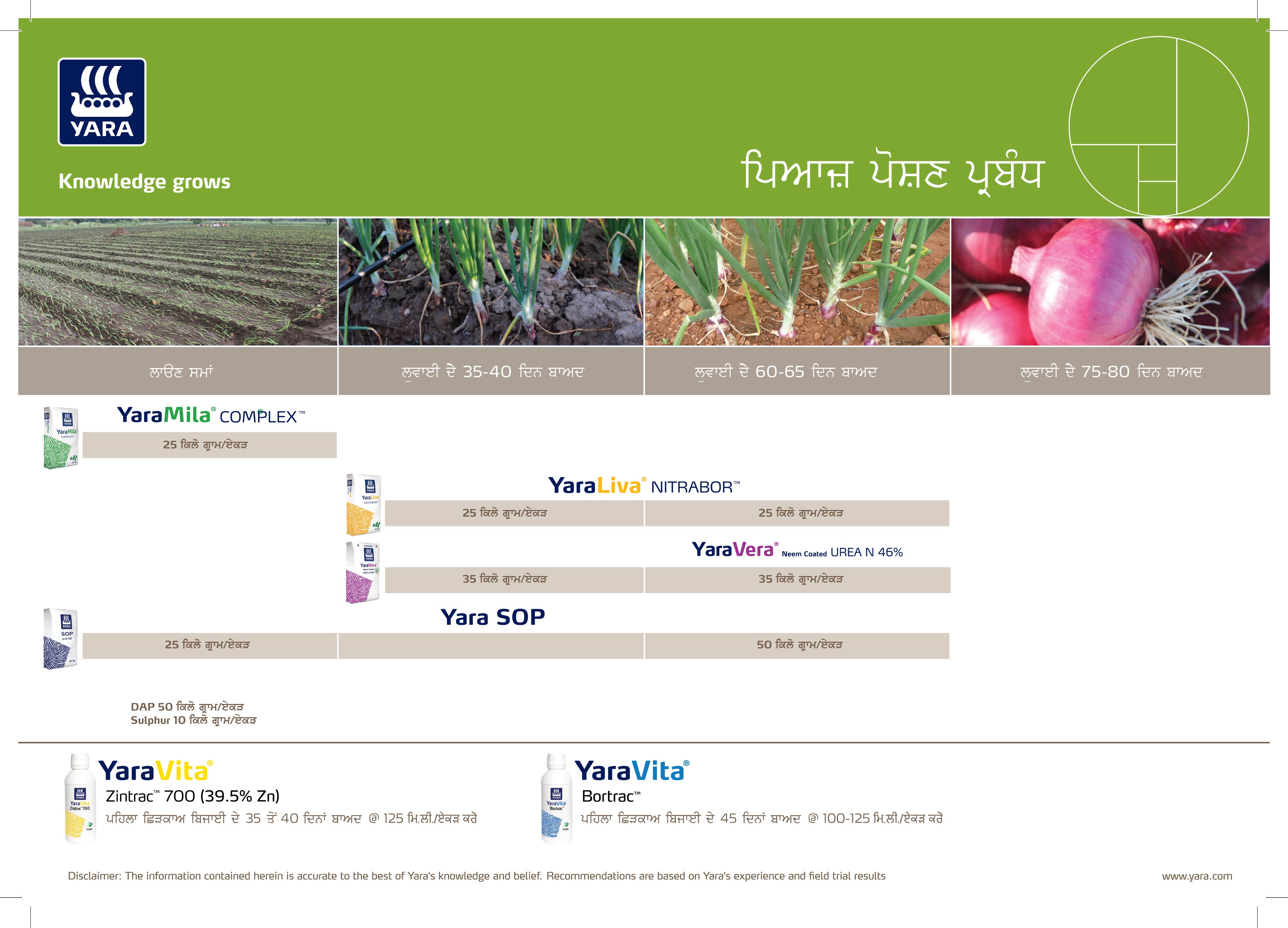Onion Crop Nutrition Plan (Punjab)