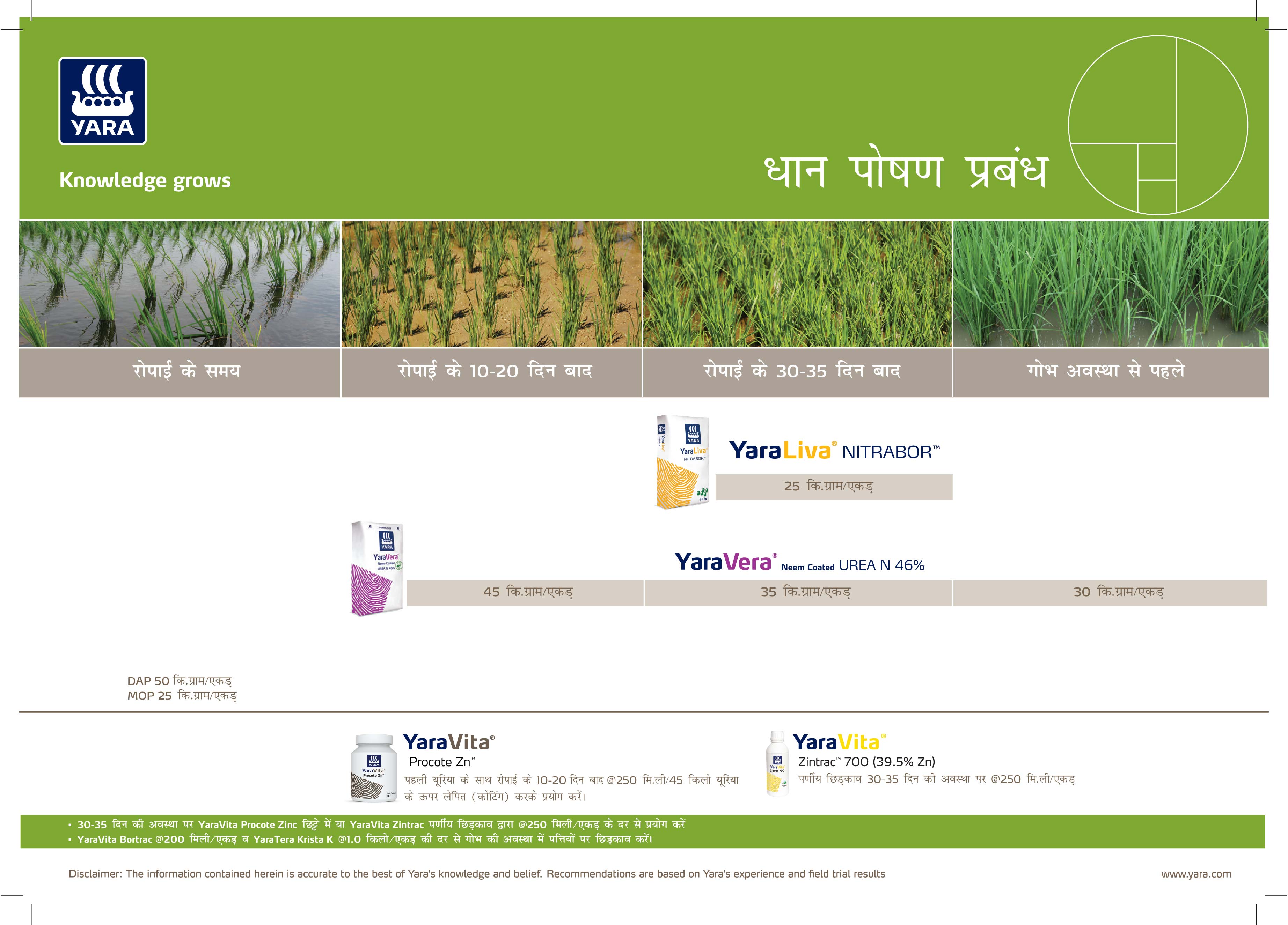 Paddy Crop Plan (Normal)_Hindi_14-05-2026_Bihar.jpg