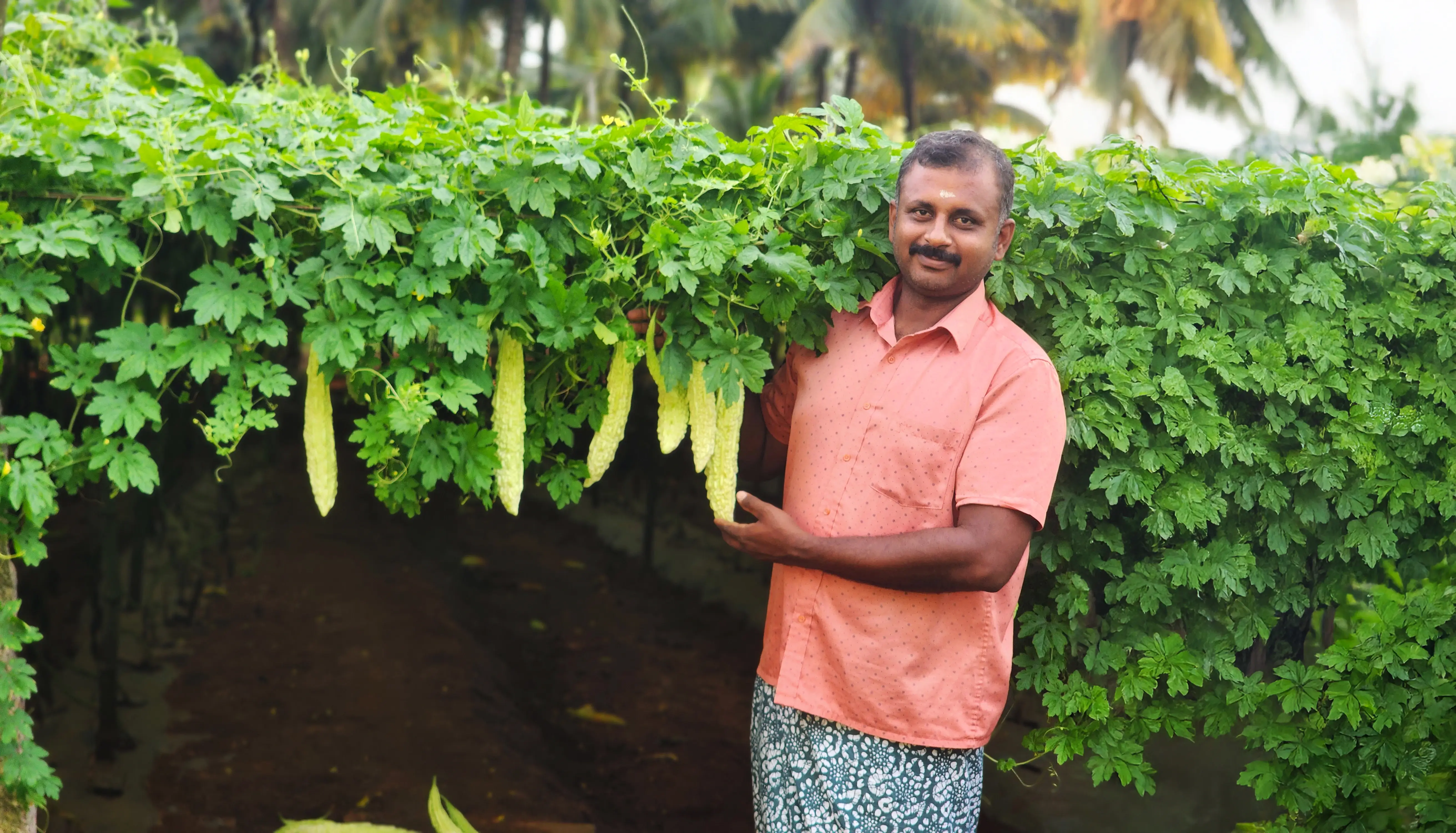 Kaviyarasan Gopalakrishnan, Village – Pollachi, Coimbatore, Tamil Nadu.