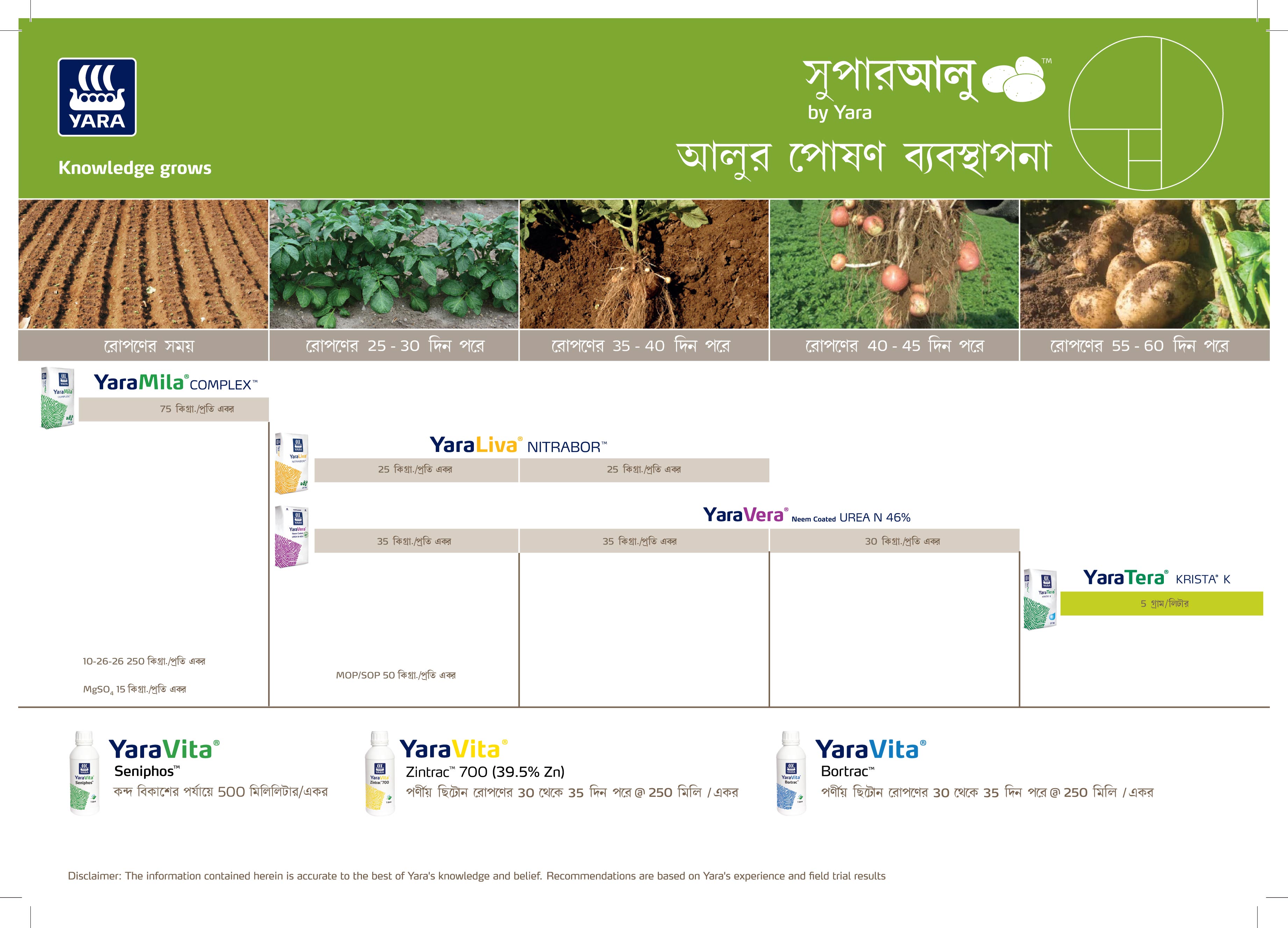 Potato Crop Plan - Bengali_24-09-2025-02.jpg