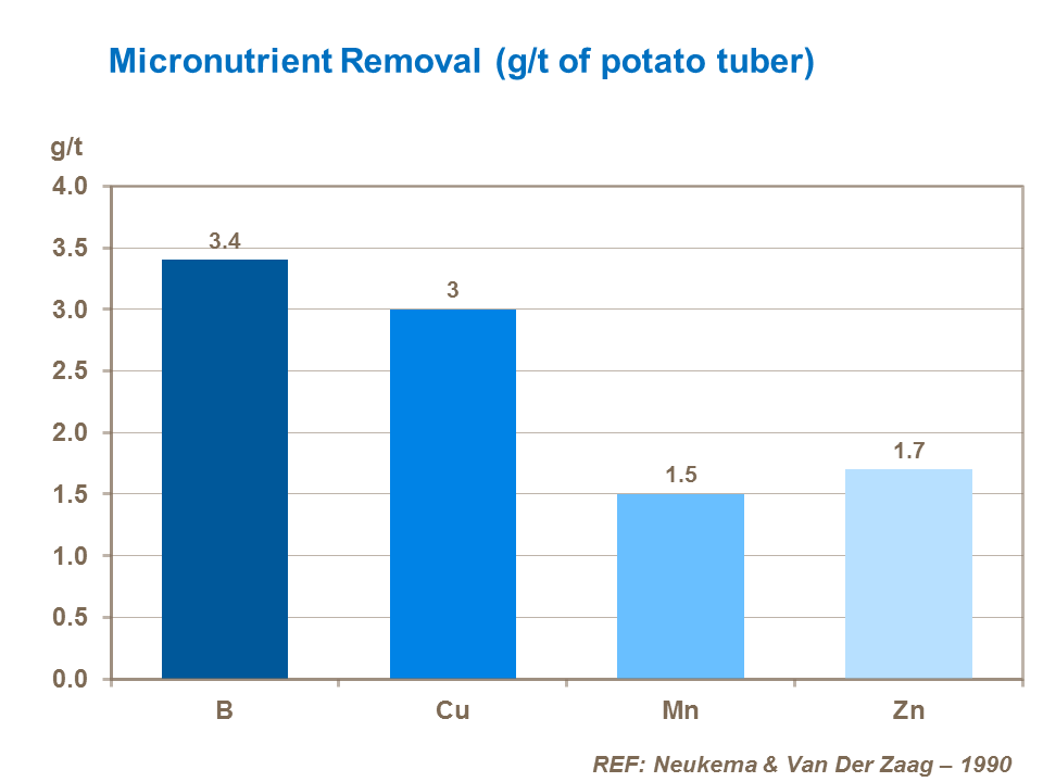 Daily rate of micronutrient uptake in whole potatoes