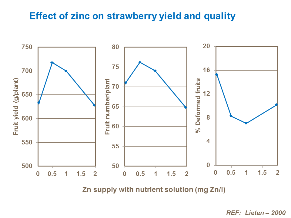 Effect of zinc on strawberry yield and quality