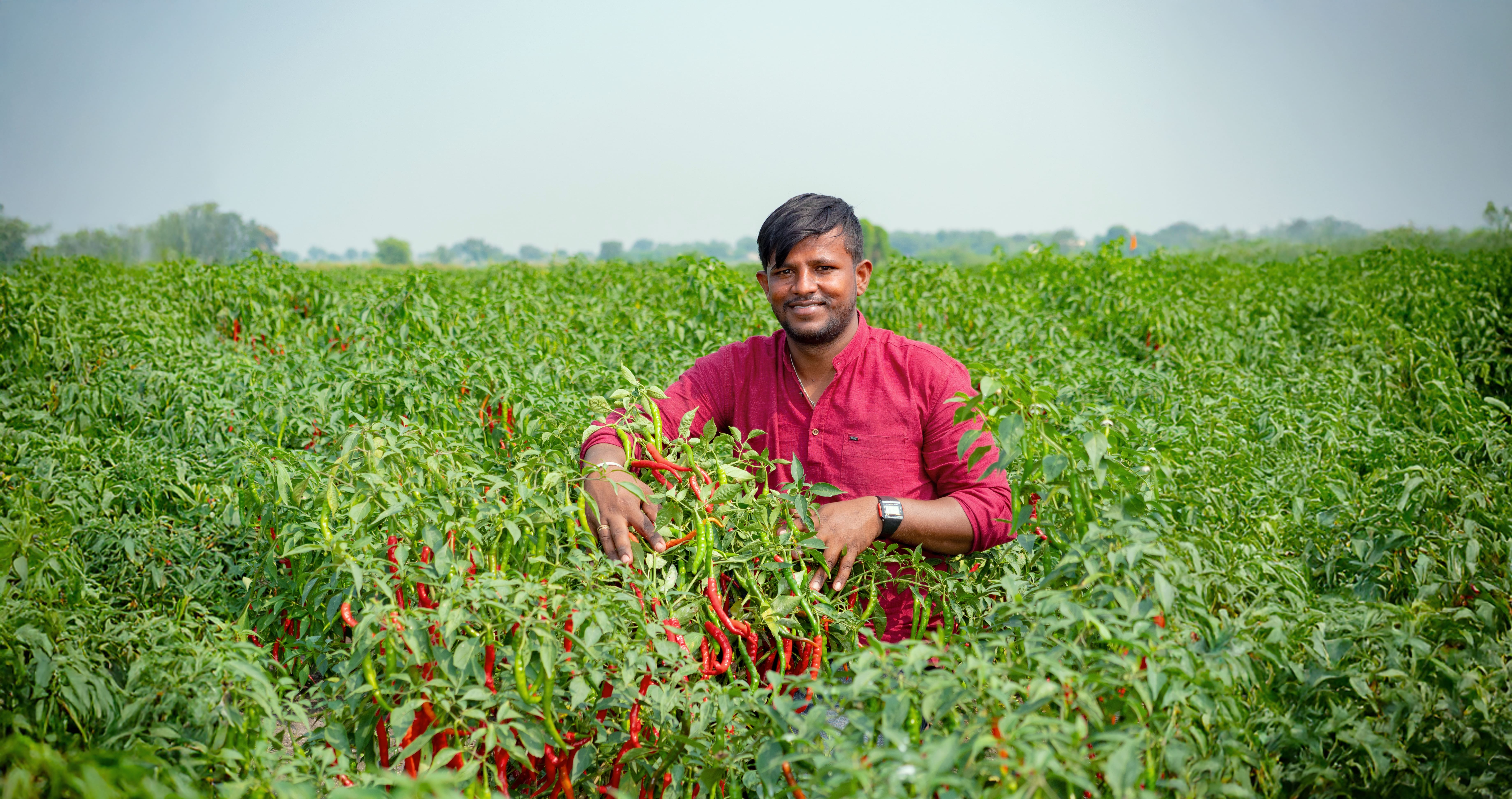 Siddarama Achari story | YARA.in 