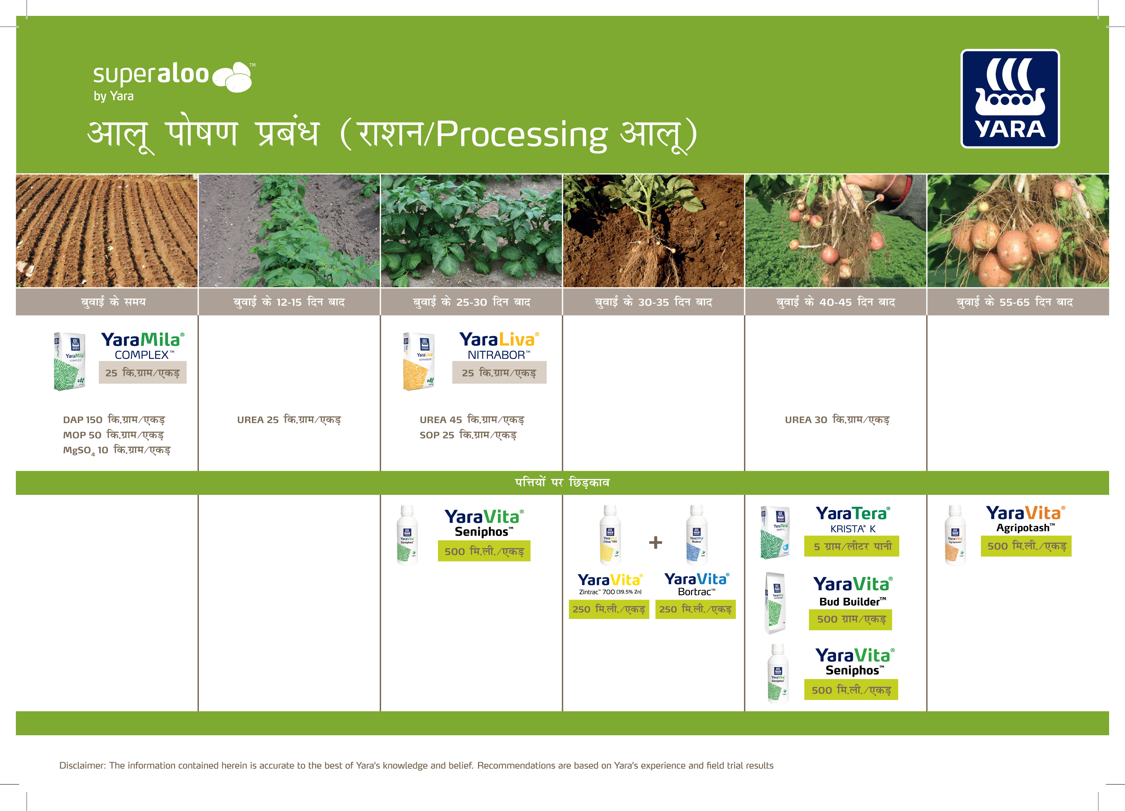 Potato Crop Plan - Hindi_13-08-2026_HR-011