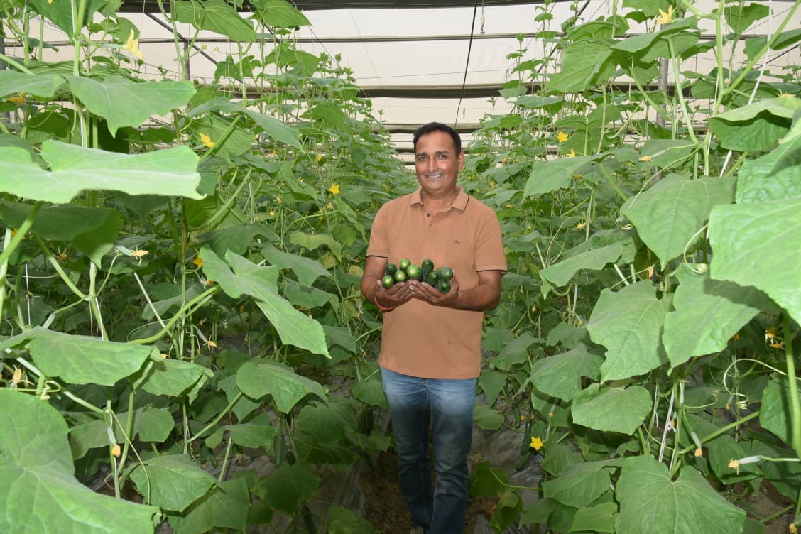 A New Chapter in Indo-European Collaboration