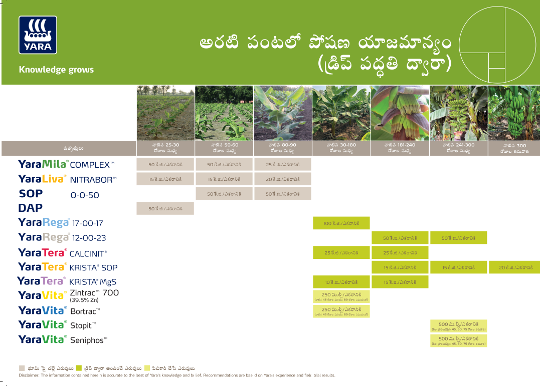 banana-crop-plan-telugu_14-03-2024