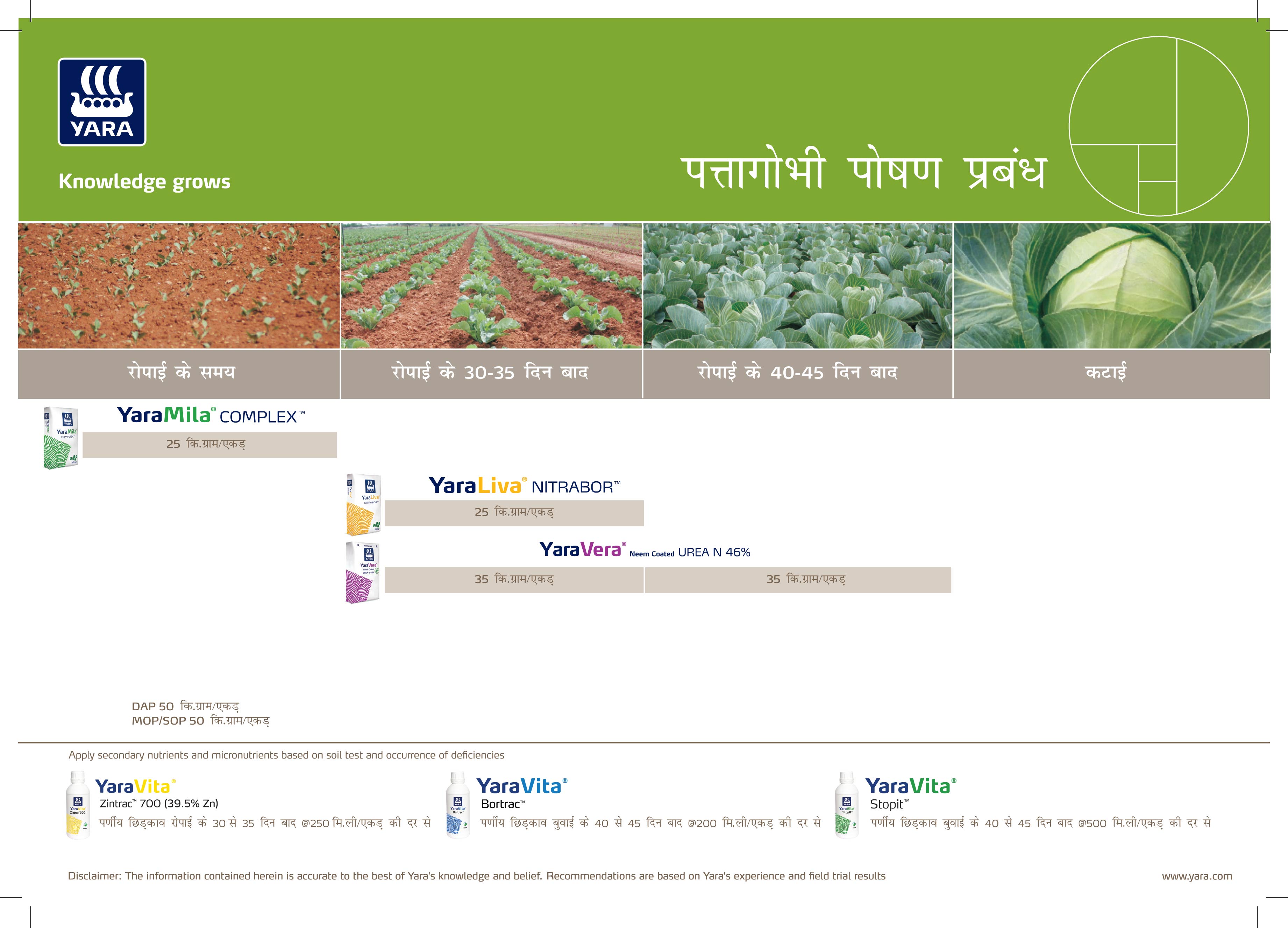 Cauliflower & Cabbage Crop Plan - Hindi_10-03-2025_UP-02