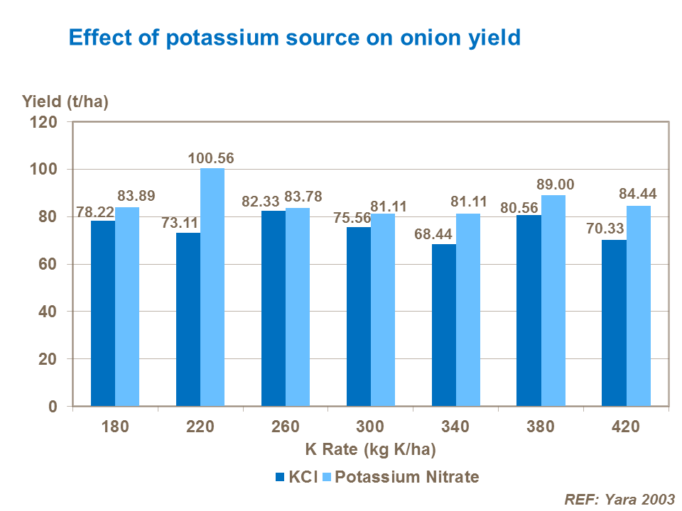 Effect of potassium source on onion yield