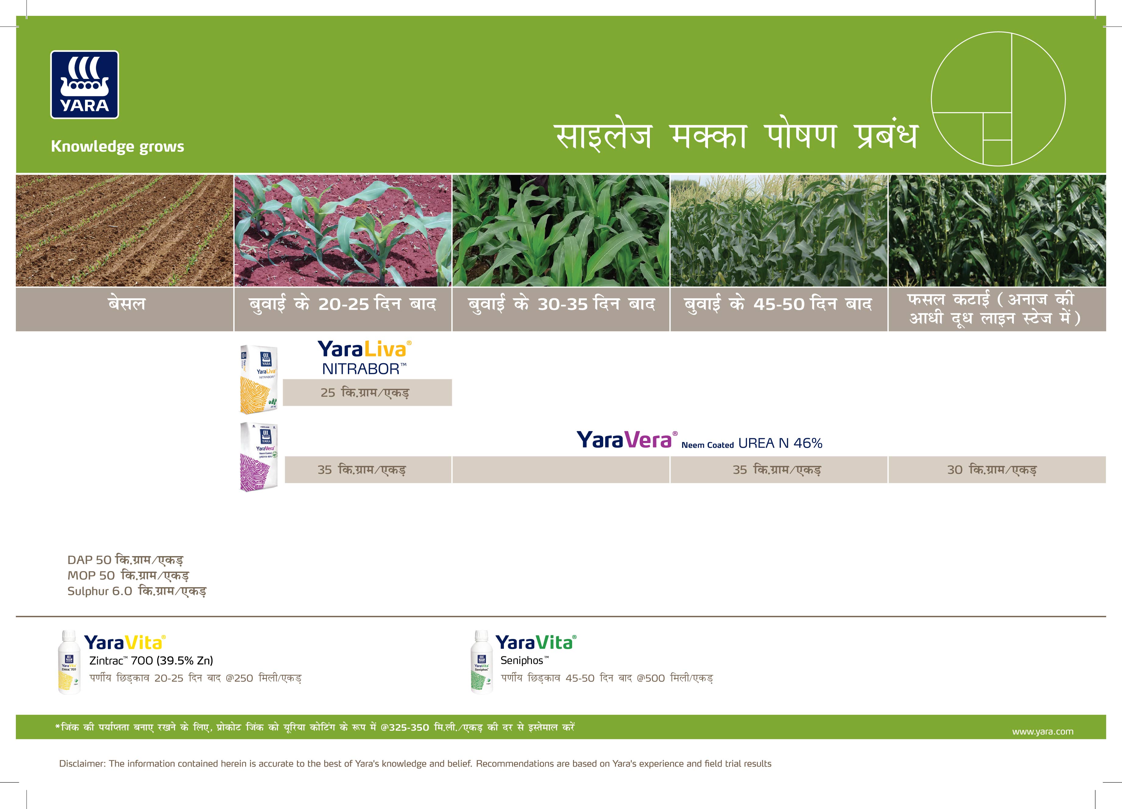 Maize & Silage Maize Crop Plan -21-01-2025_Haryana-02