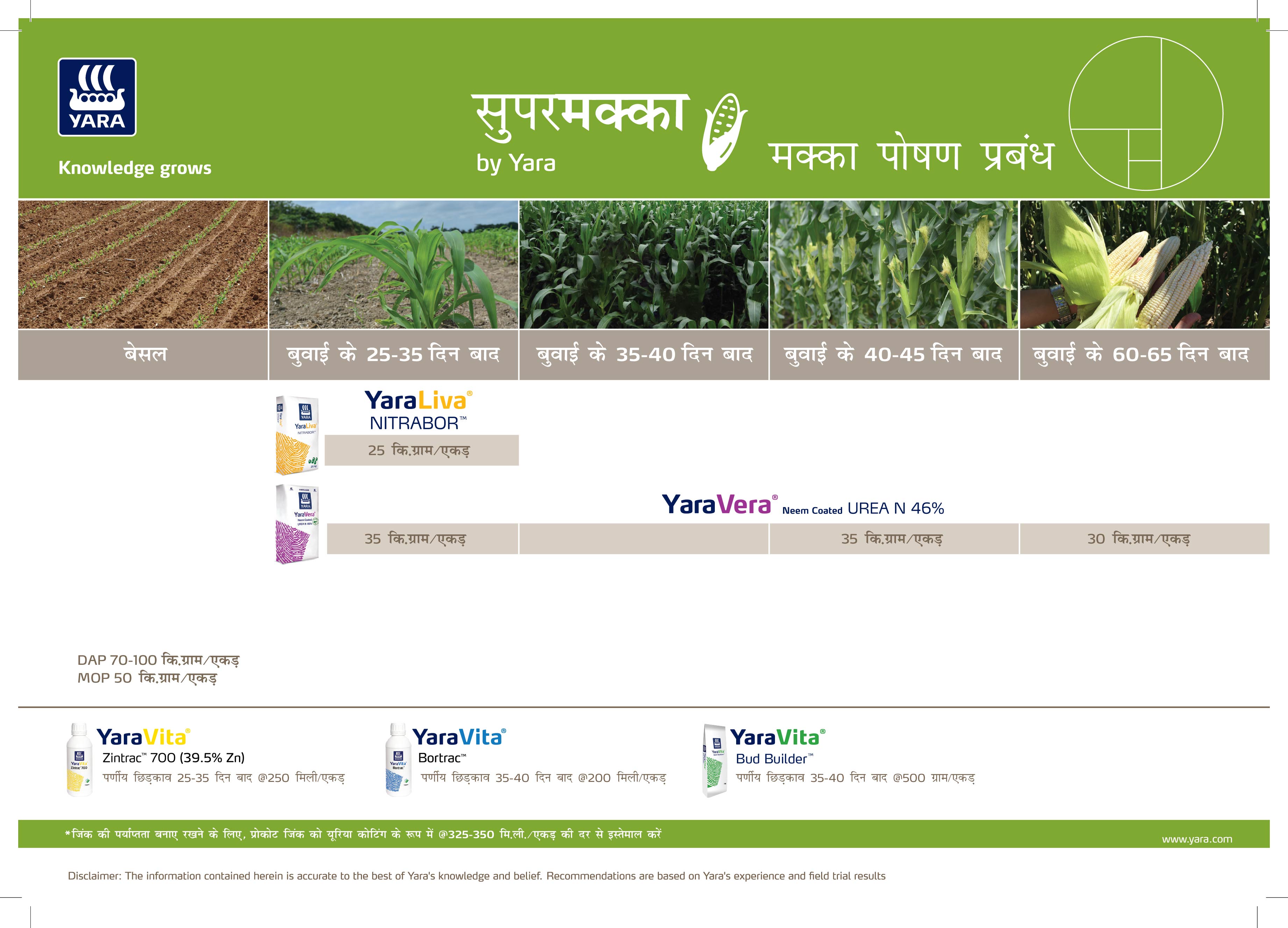 Maize & Silage Maize Crop Plan -21-01-2025_Haryana-01