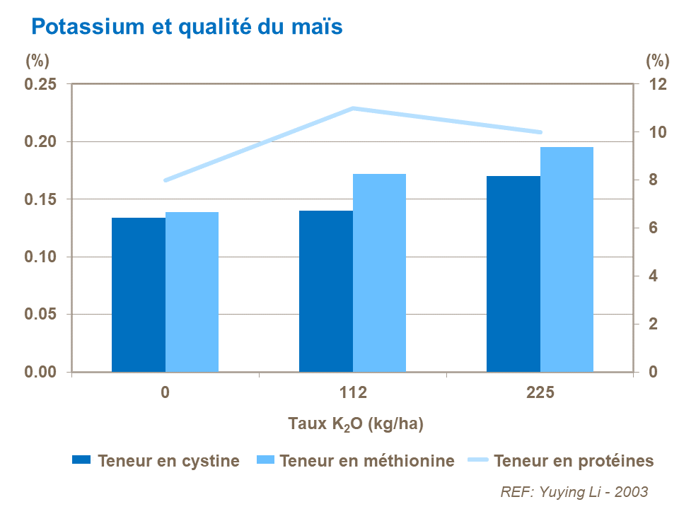 FR - K and corn quality - cystine-methionine-protein.png