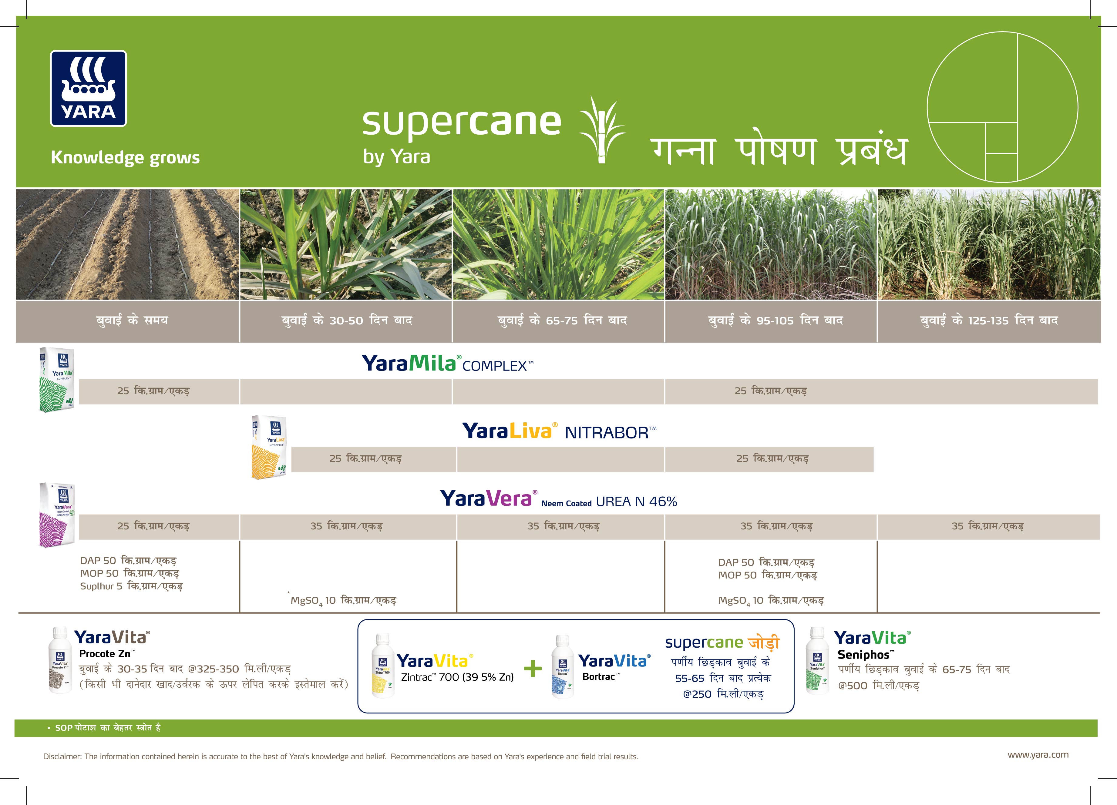 Sugarcane Crop Nutrition Plan (Haryana)