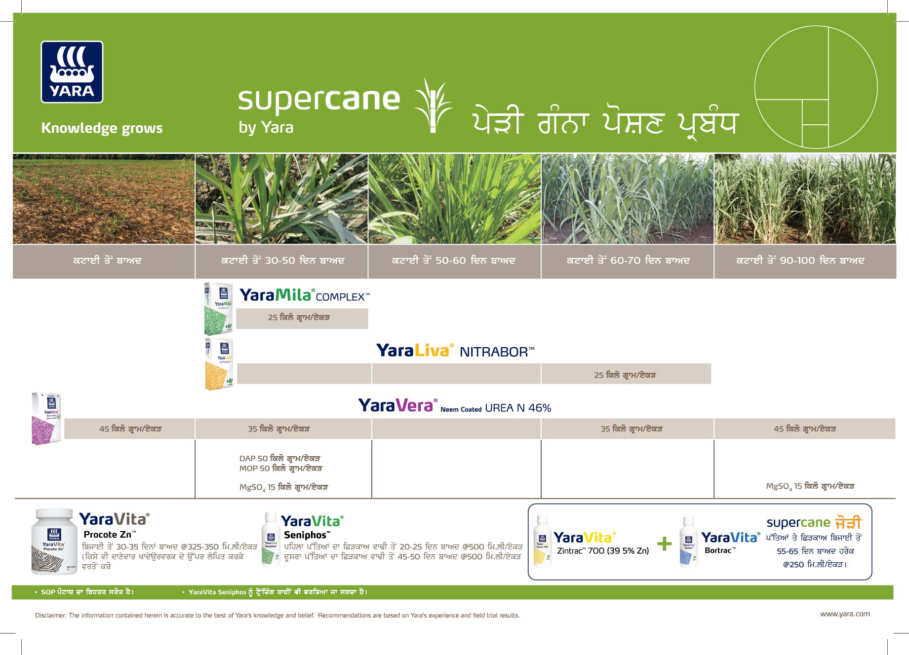Sugarcane crop nutrition programme