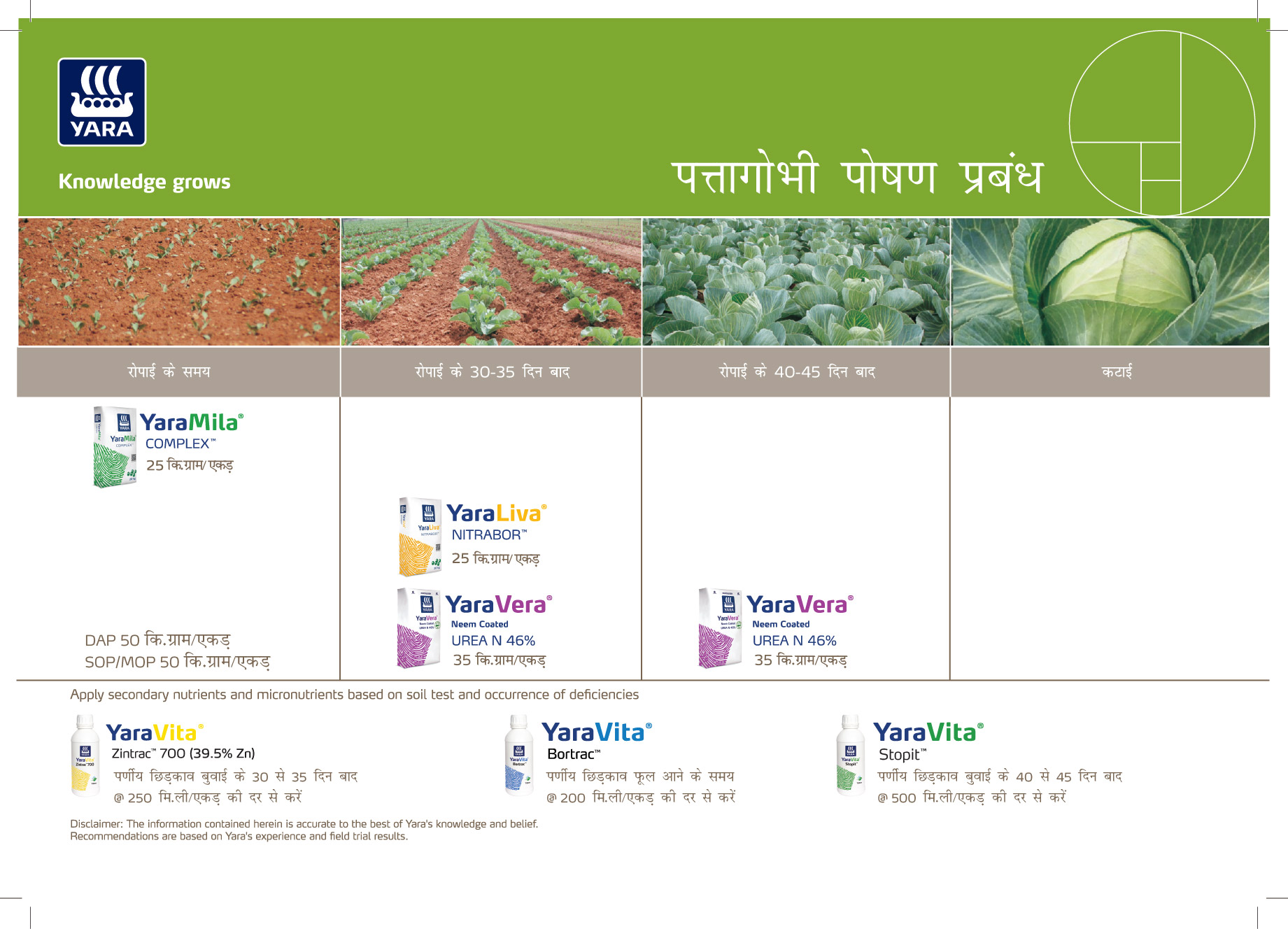 Cabbage Crop plan_19-01-2026-01.jpg