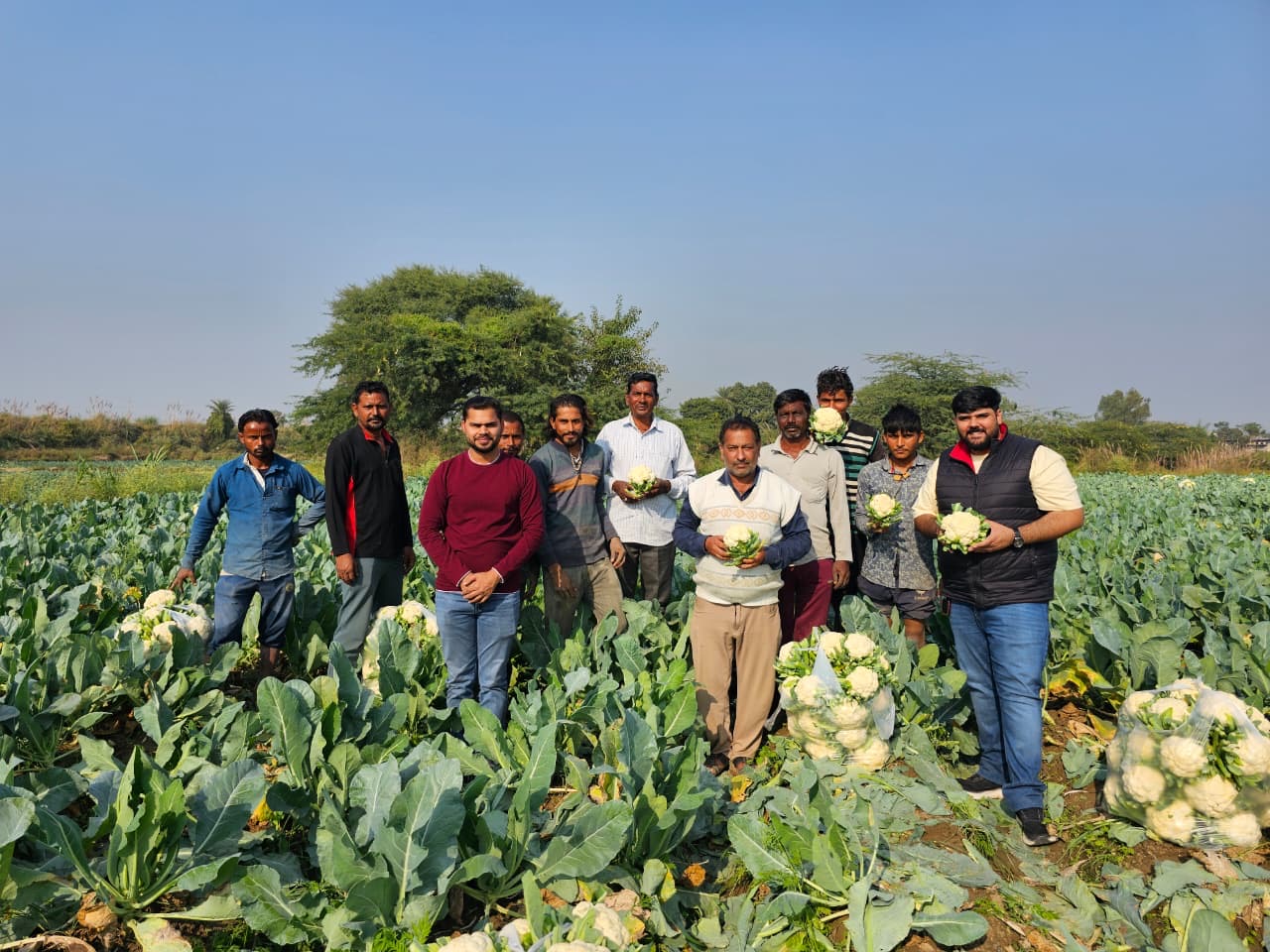 Yara India Releases Crop Nutrition Advisory to Help Haryana Vegetable Farmers Combat Heat Stress