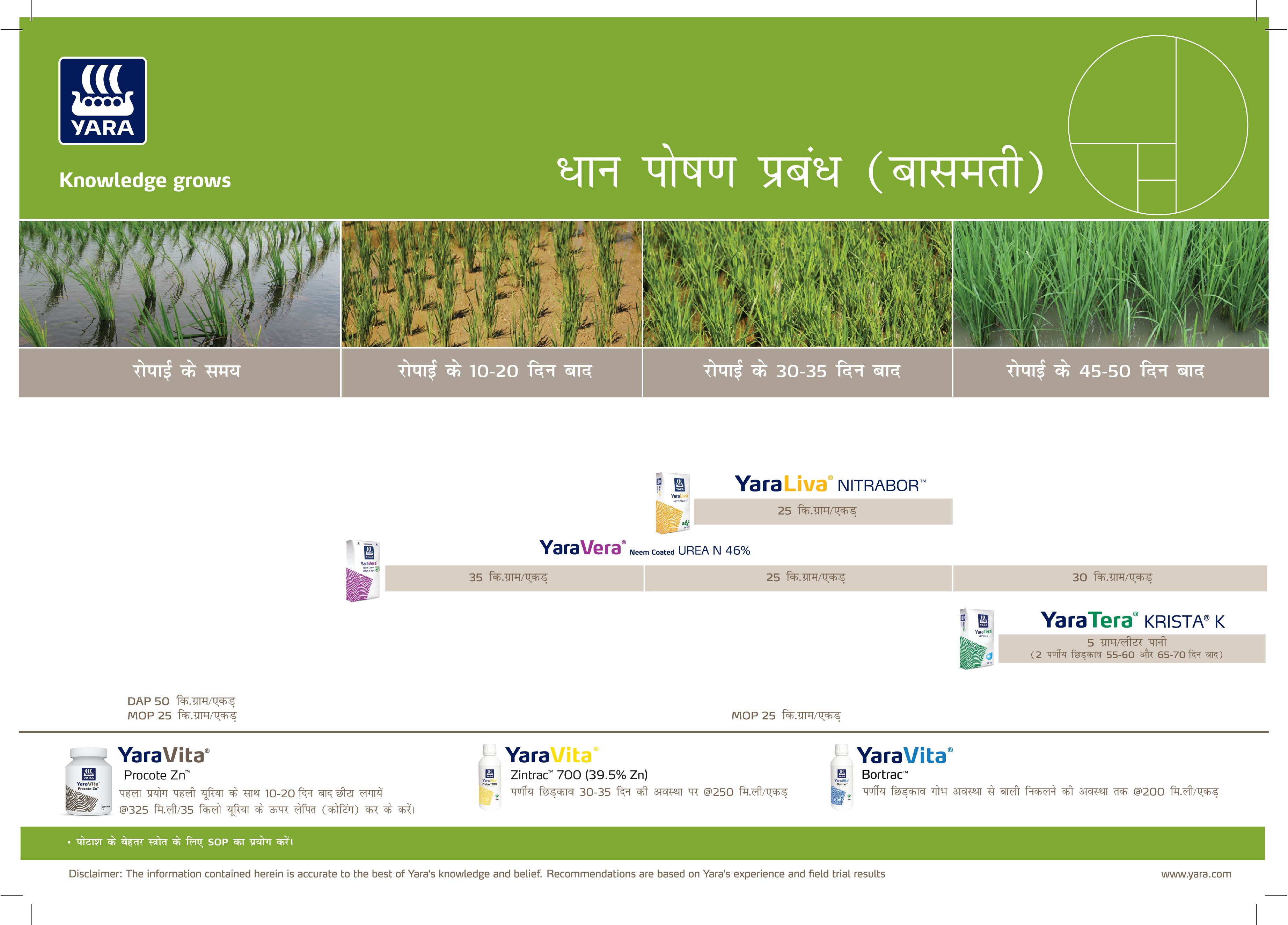 Paddy Crop Plan (Normal & Basmati)_Hindi_10-04-2025_UP-02.jpg