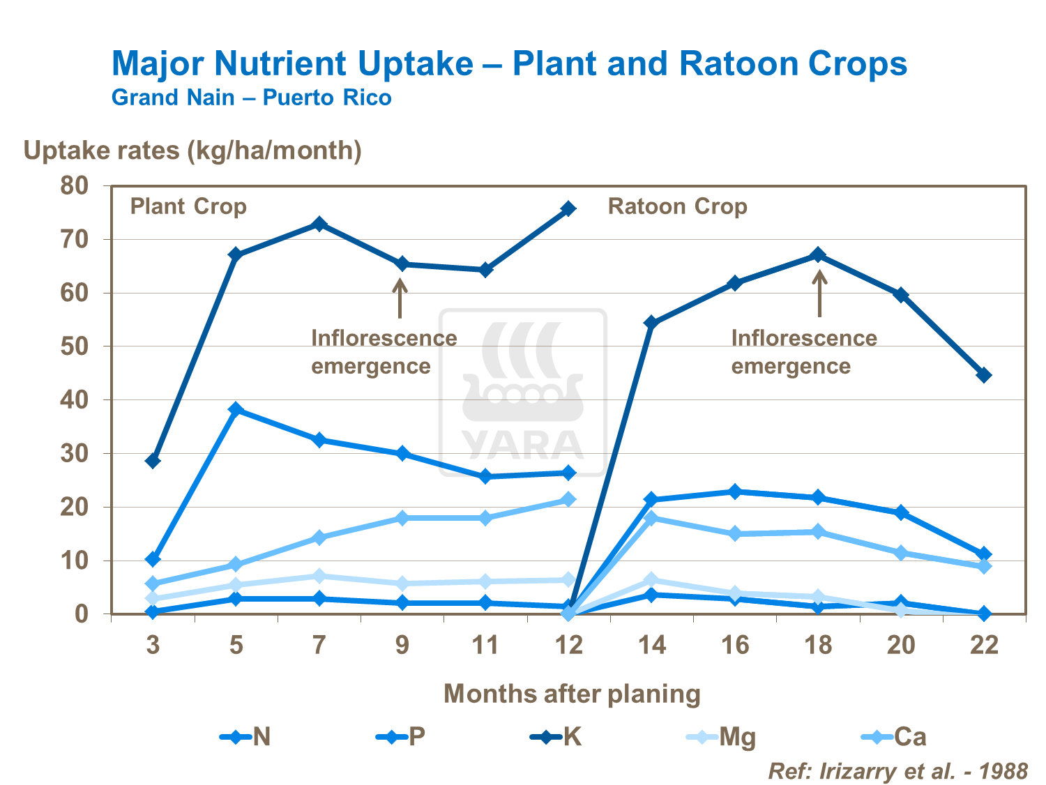 Major Nutritent