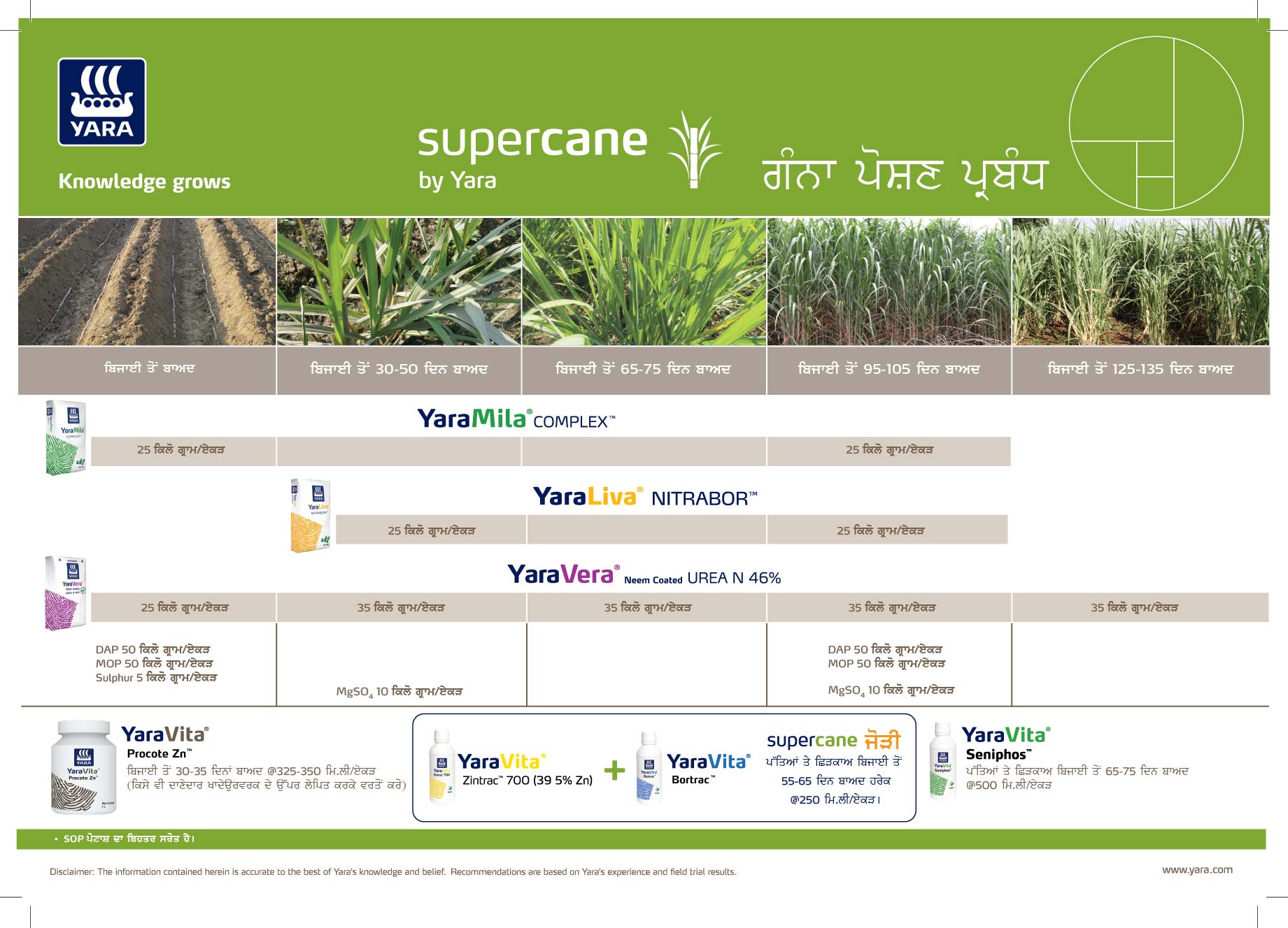 Sugarcan crop nutrition programme Punjab
