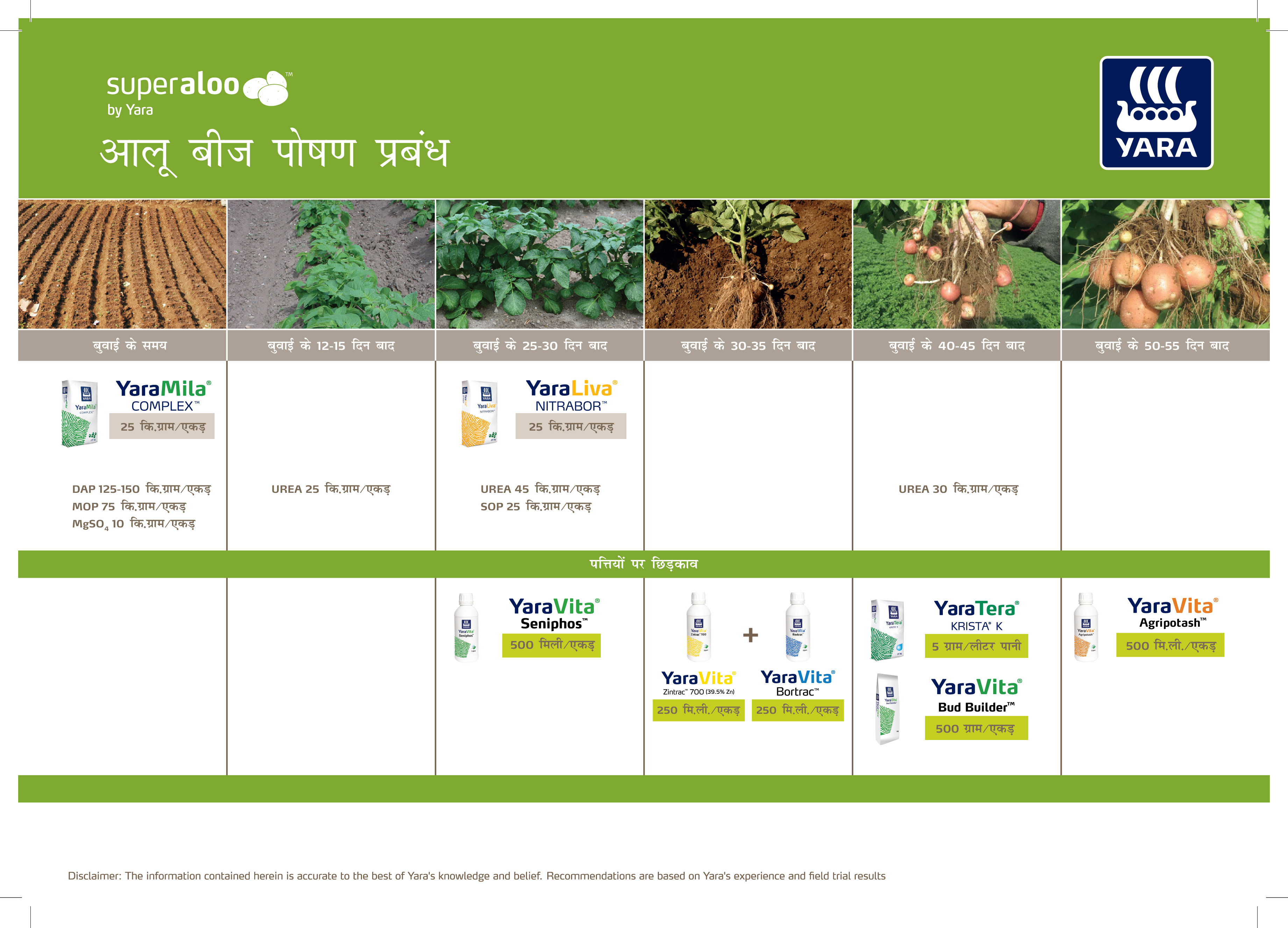 Potato Crop Plan - Hindi_13-08-2026_HR-022