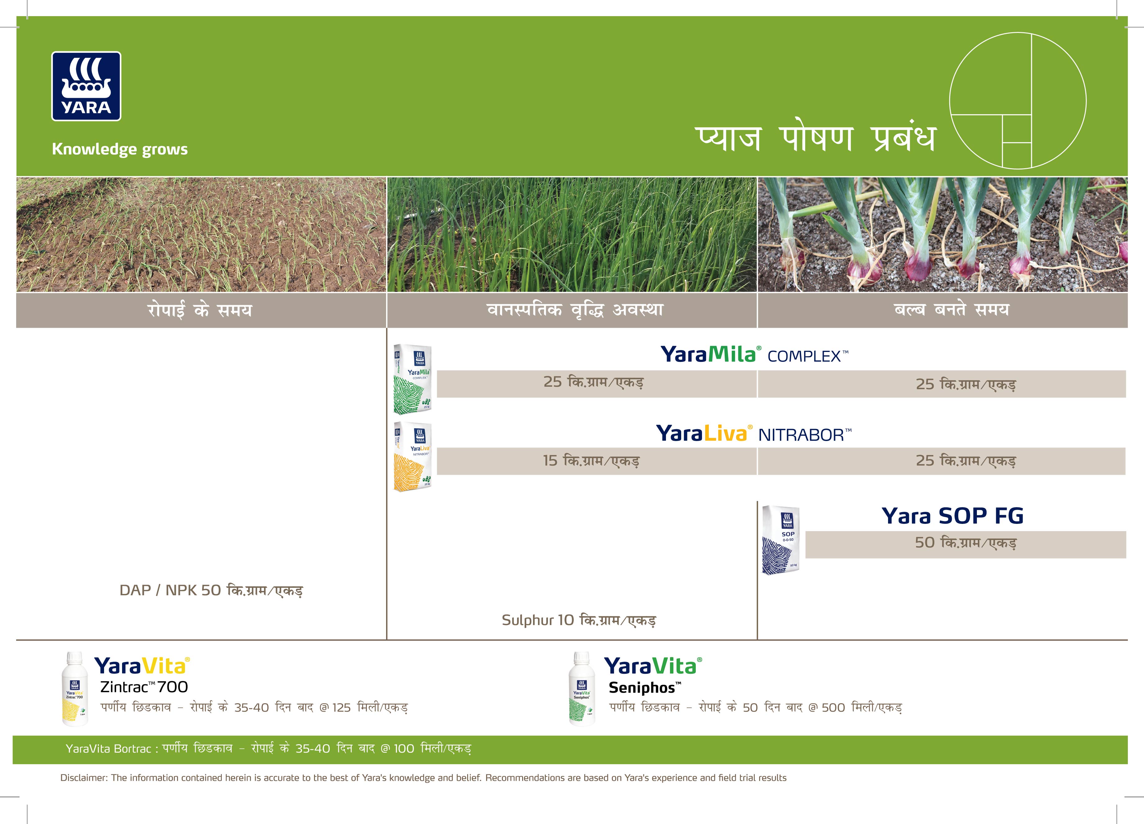 Onion Crop Nutrition Plan (Madhya Pradesh)
