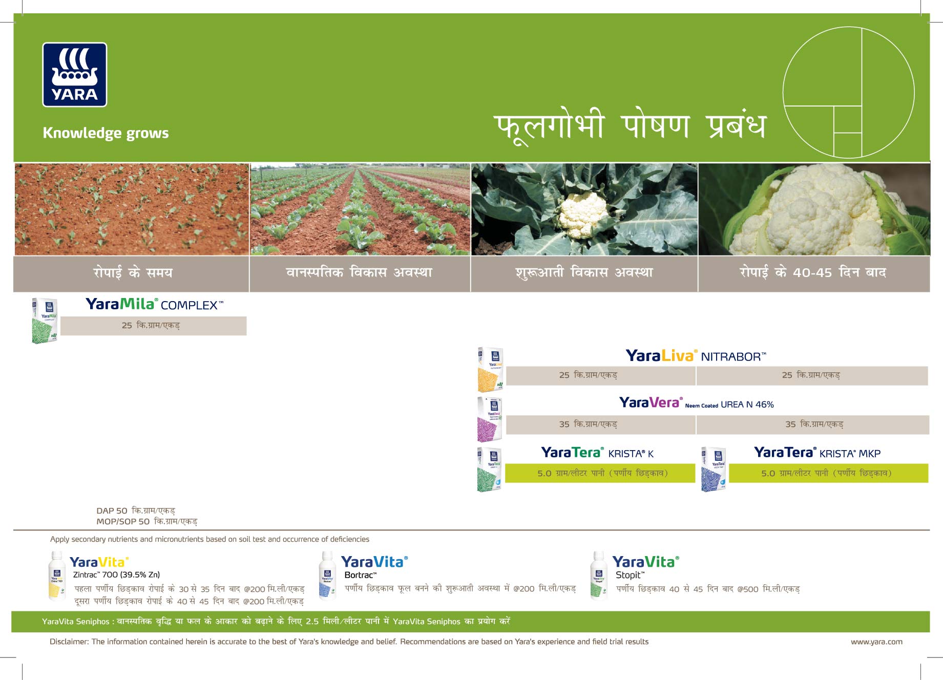 Cauliflower Crop Plan - Hindi_15-01-2026_Haryana-01.jpg
