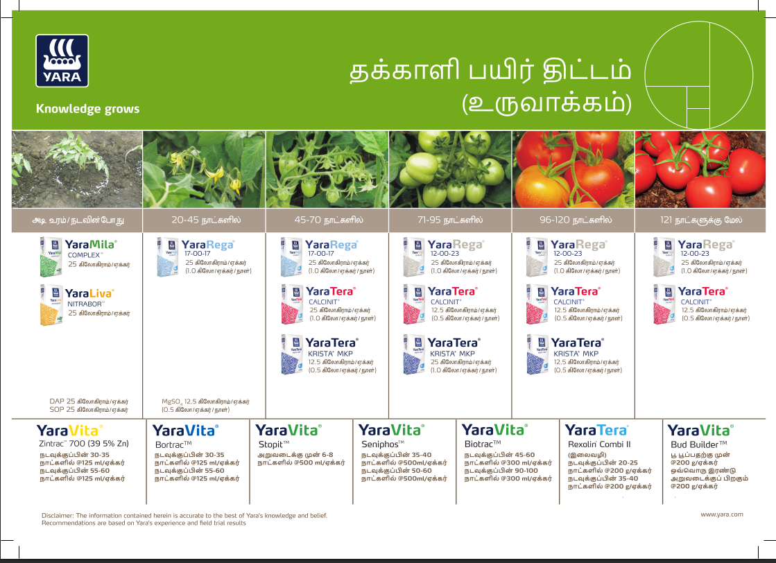 Tomato YaraRega Crop Plan - Tamil_11-08-2023