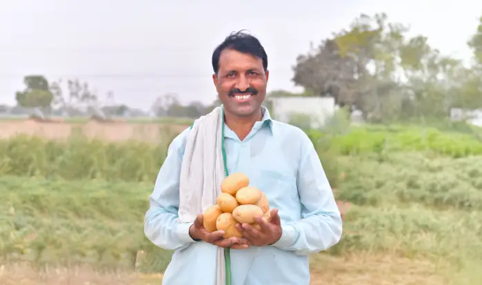 How to influence potato tuber quality