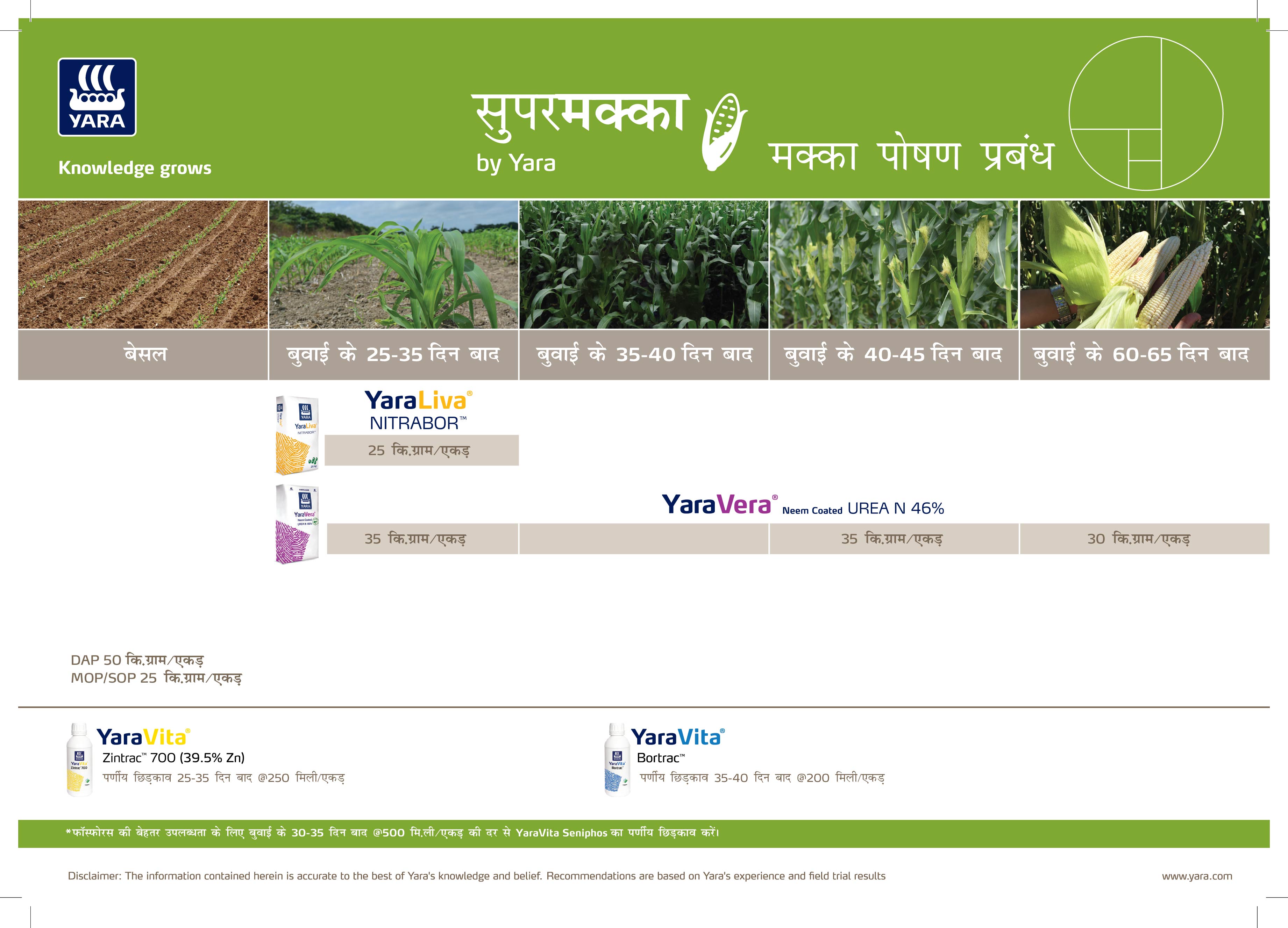 Maize Crop Nutrition Plan (Uttar Pradesh)