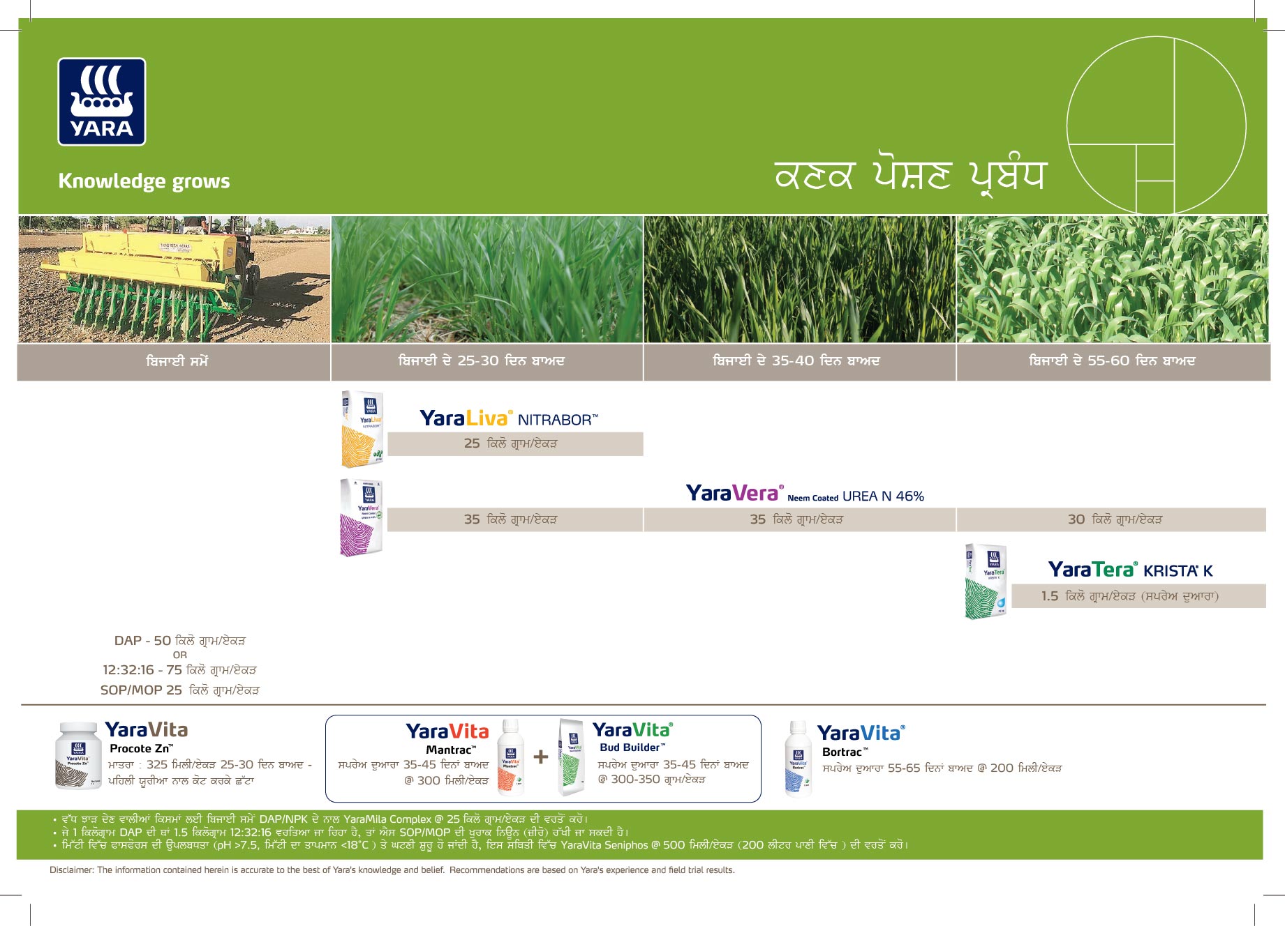 Wheat Crop Nutrition Plan (Punjab)