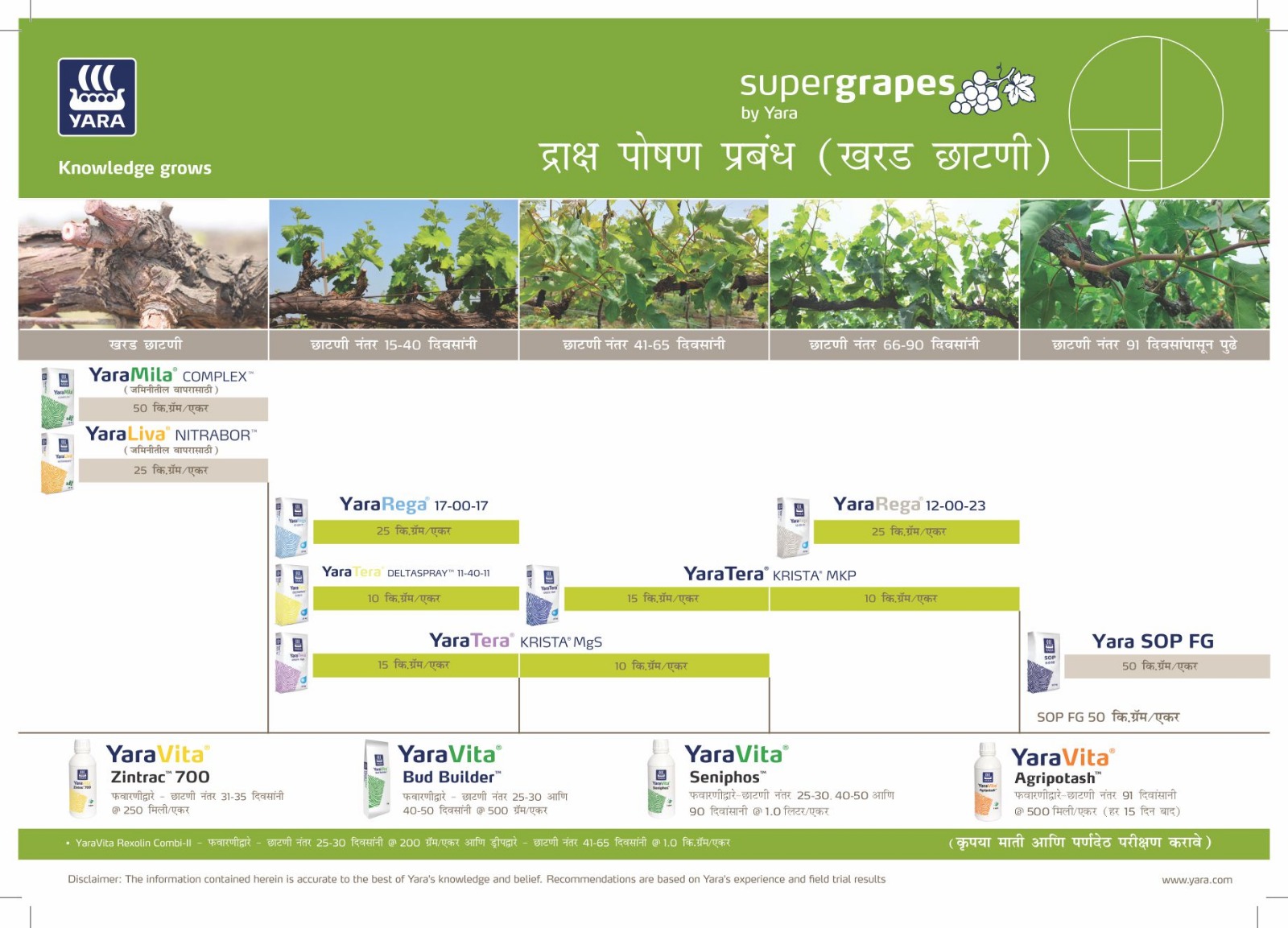 Table Grape Crop Nutrition Plan (Maharashtra)
