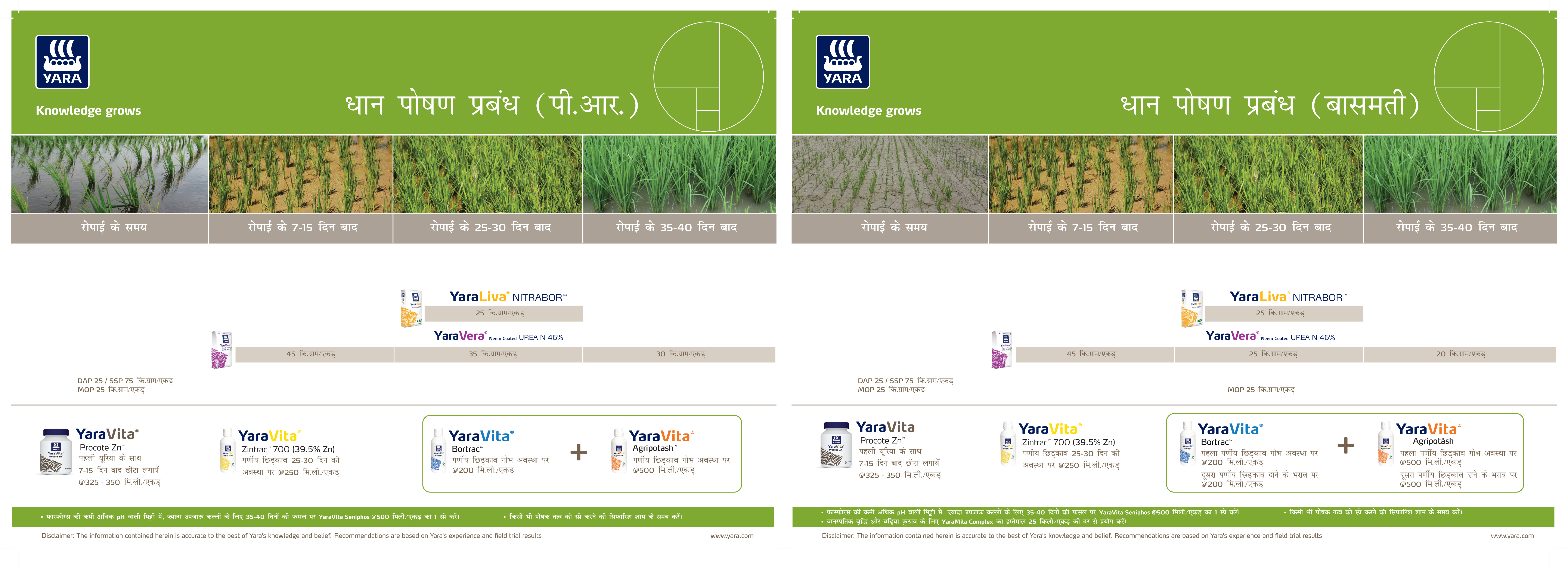 Paddy Crop Plan (PR & Basmati)_Hindi_Haryana.jpg