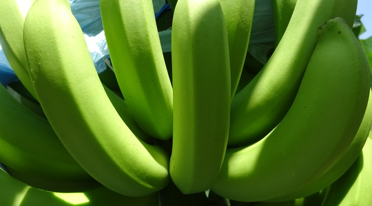 Increasing Number of Hands per Bunch