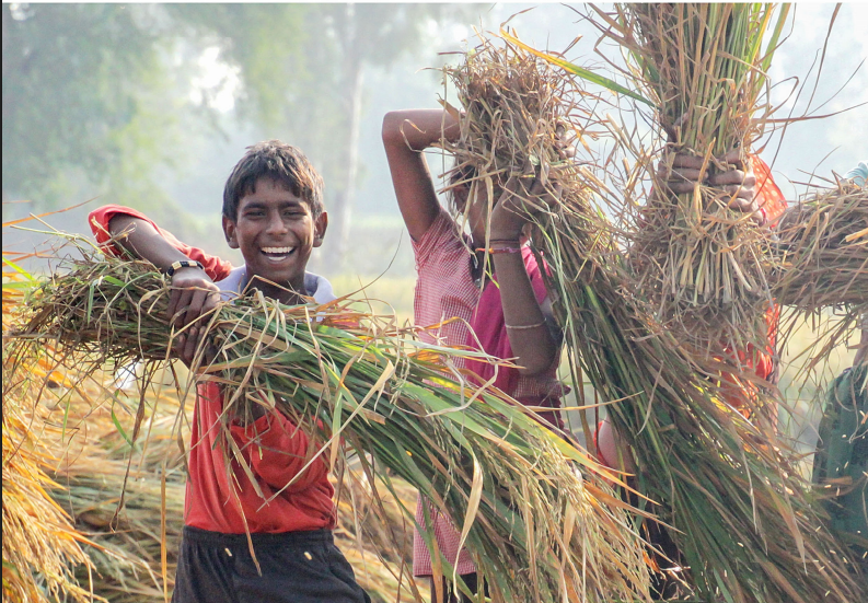 Corporate Social Responsibility 2021-22